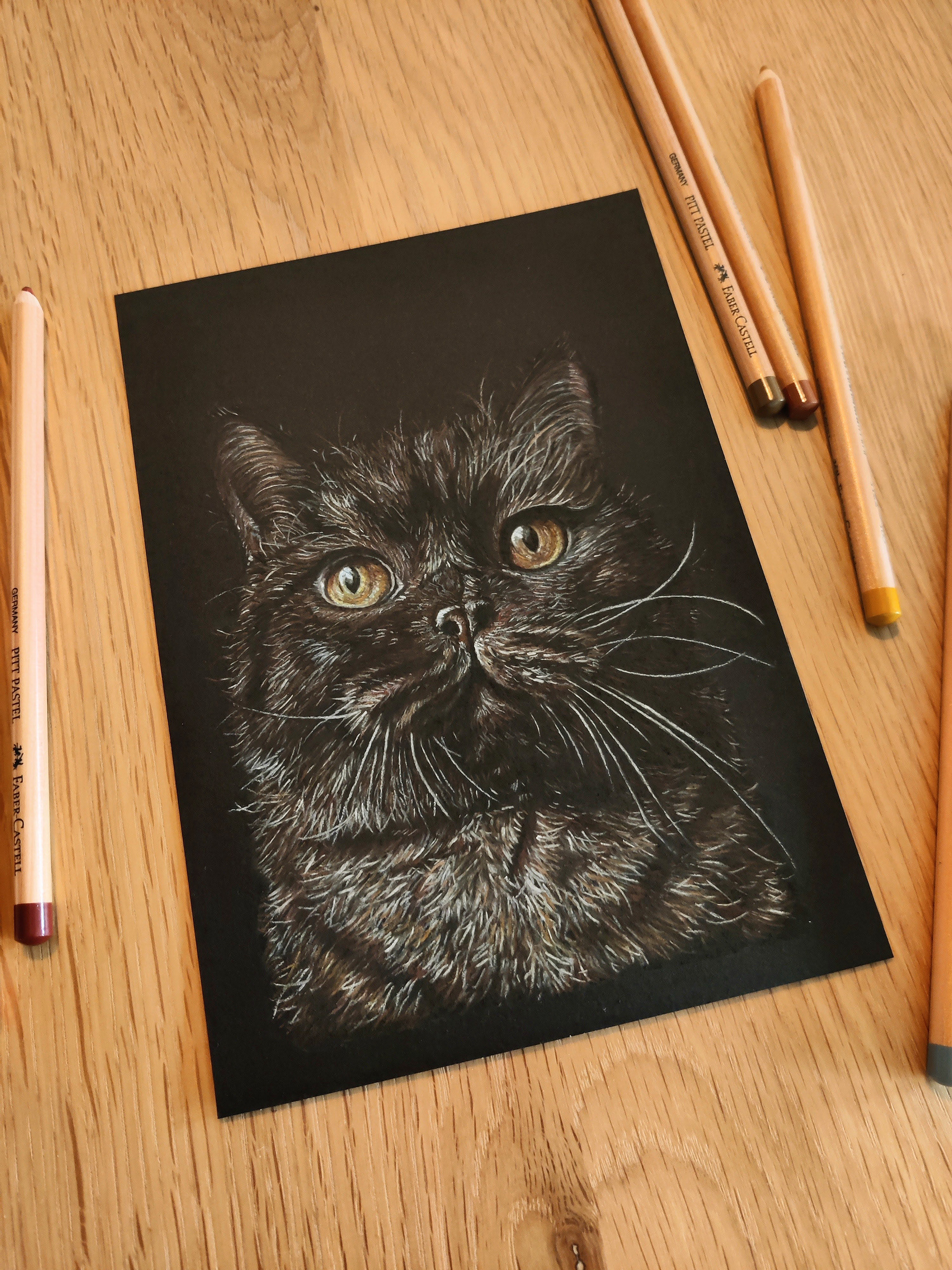 Cat on A5 black paper