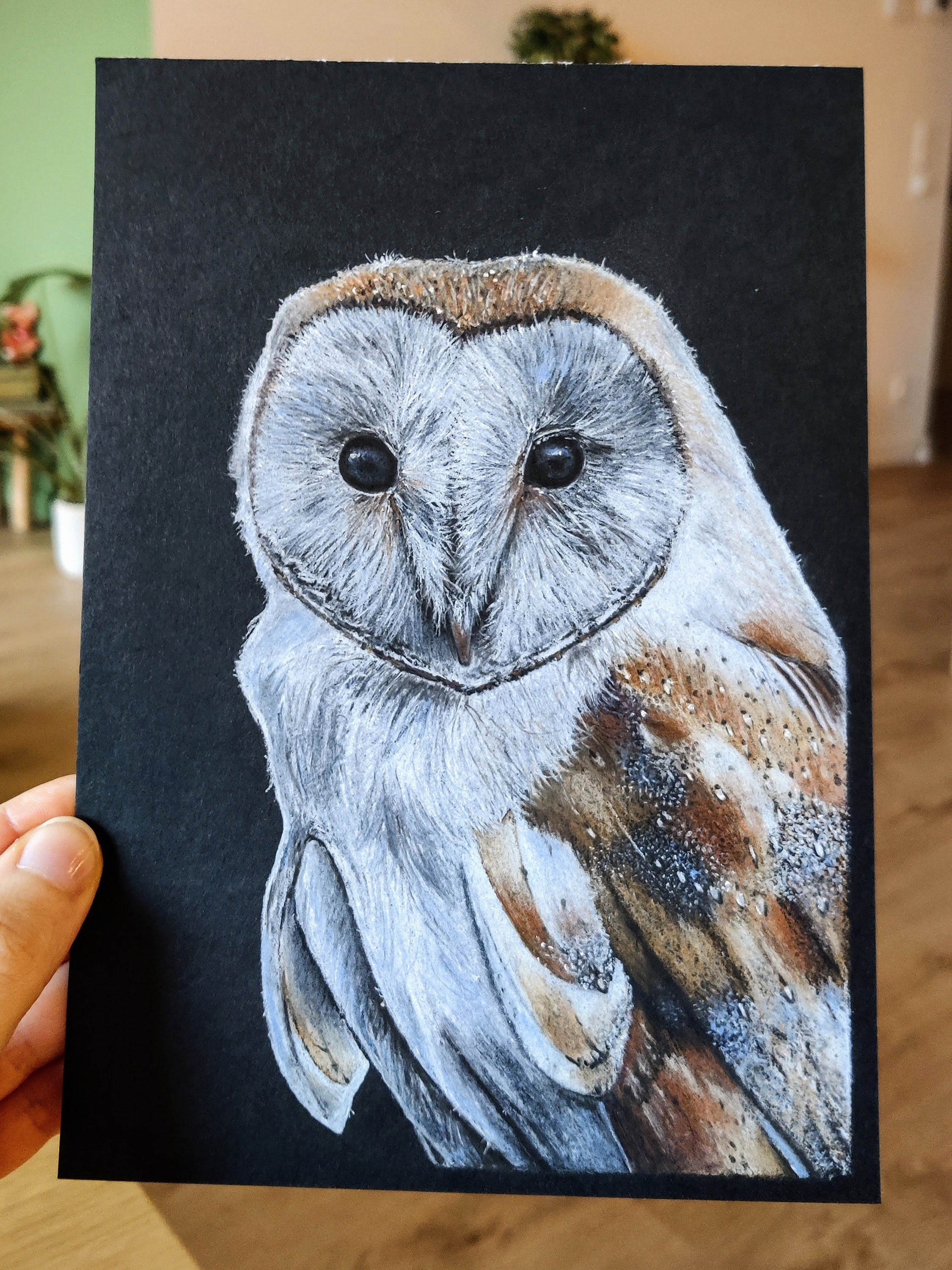 A barn owl on A5 black paper