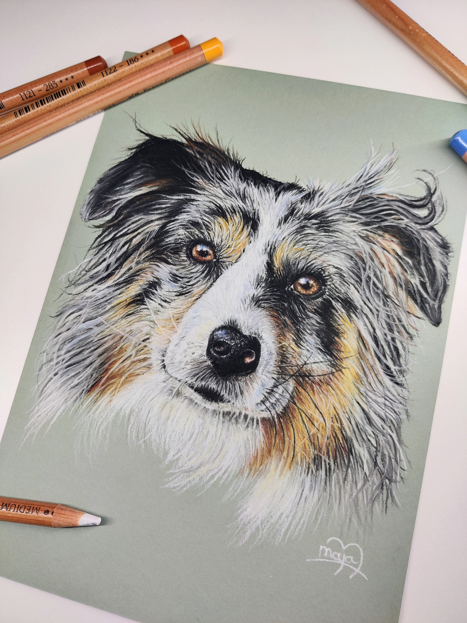 Australian shepherd on A5 grey/green paper #2