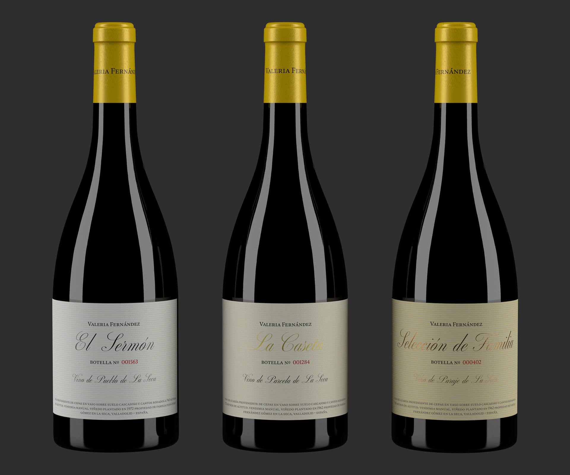 Simulación 3D de la propuesta de diseño sobre la botella con cápsula incluida