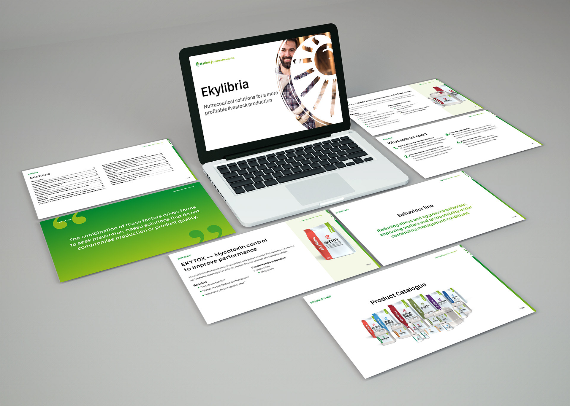 Diferentes muestras de pantallas de presentación corporativa productos Ekylibria. 