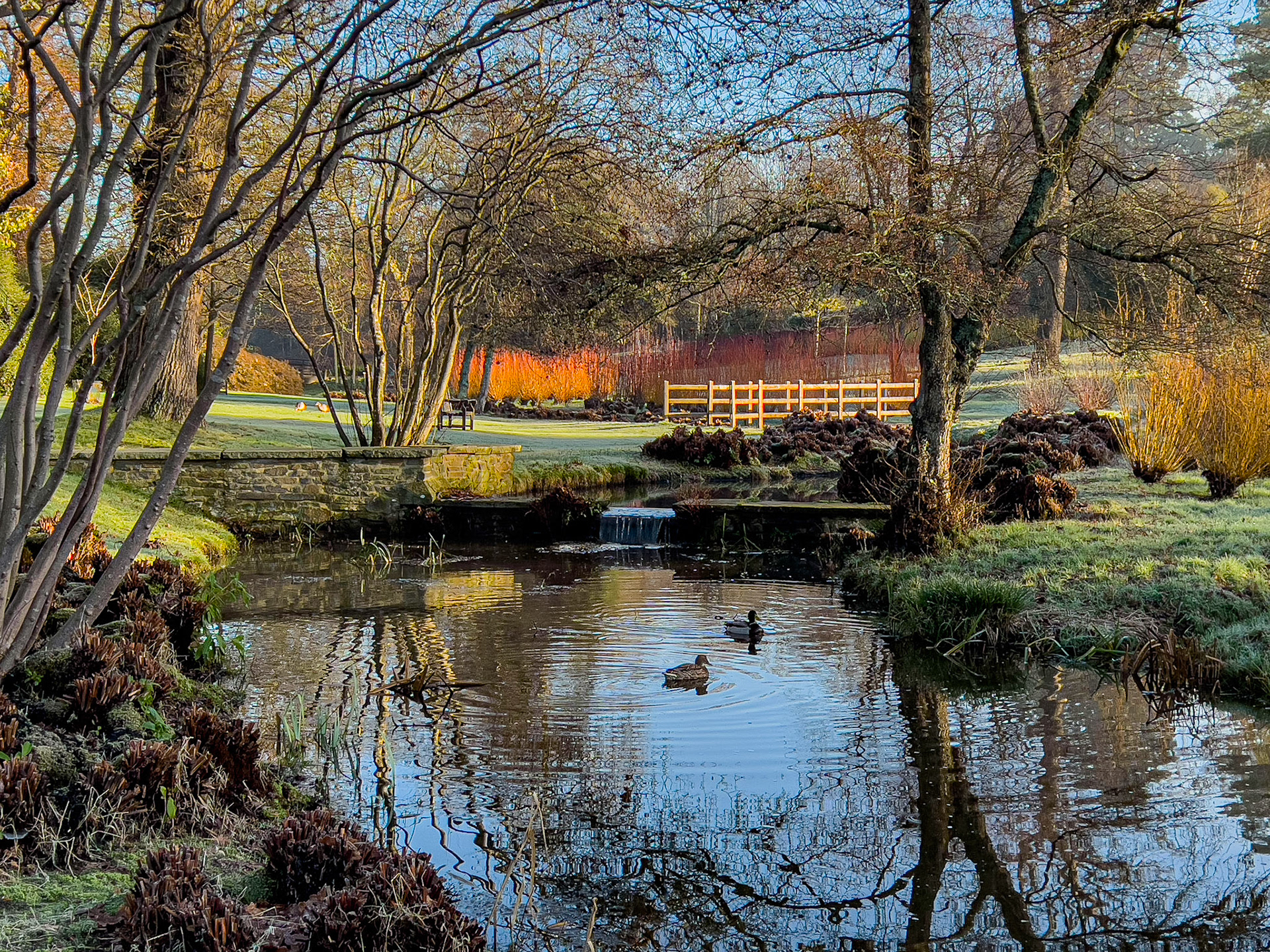 Spring at Savill Garden Pond