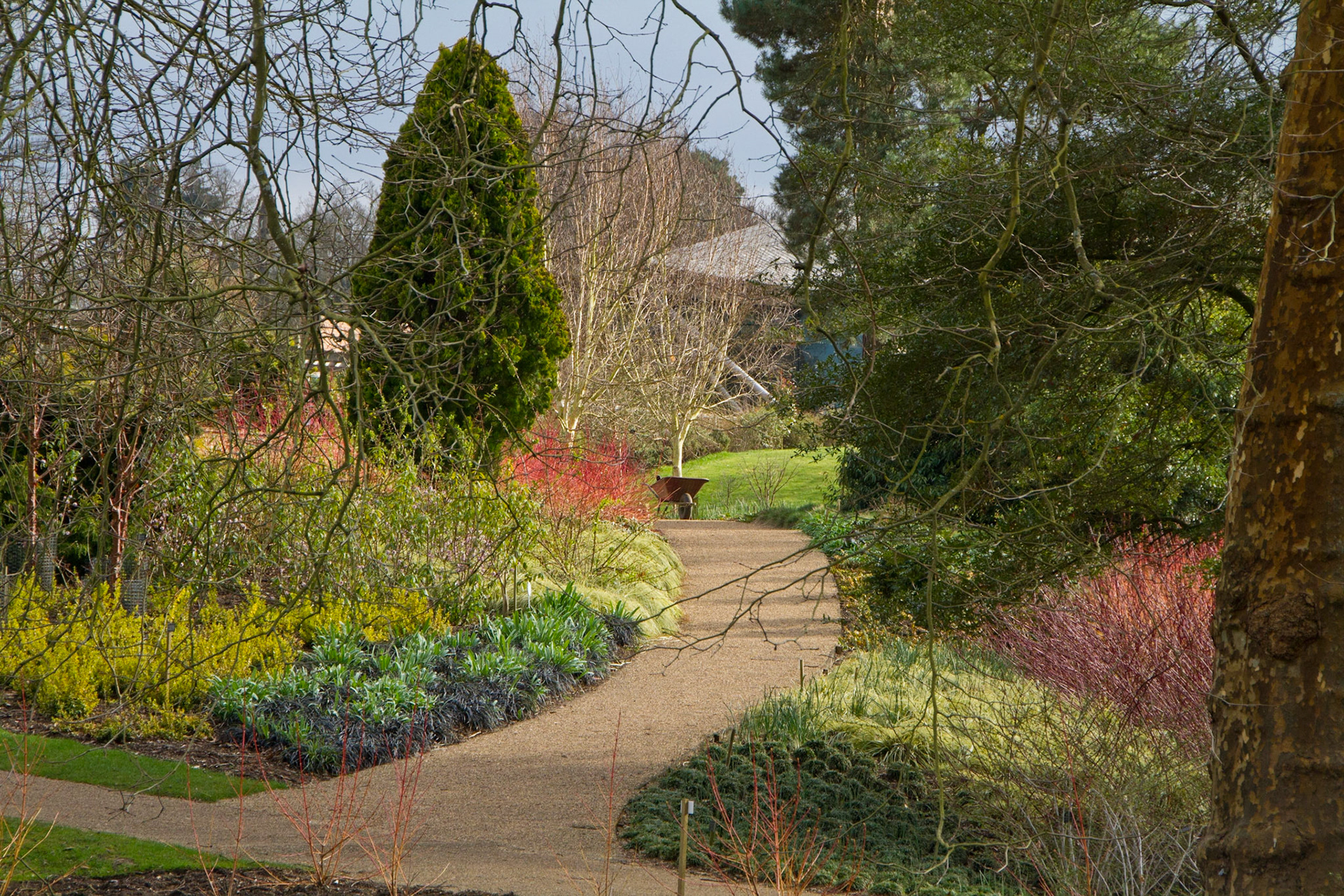 Savill Garden