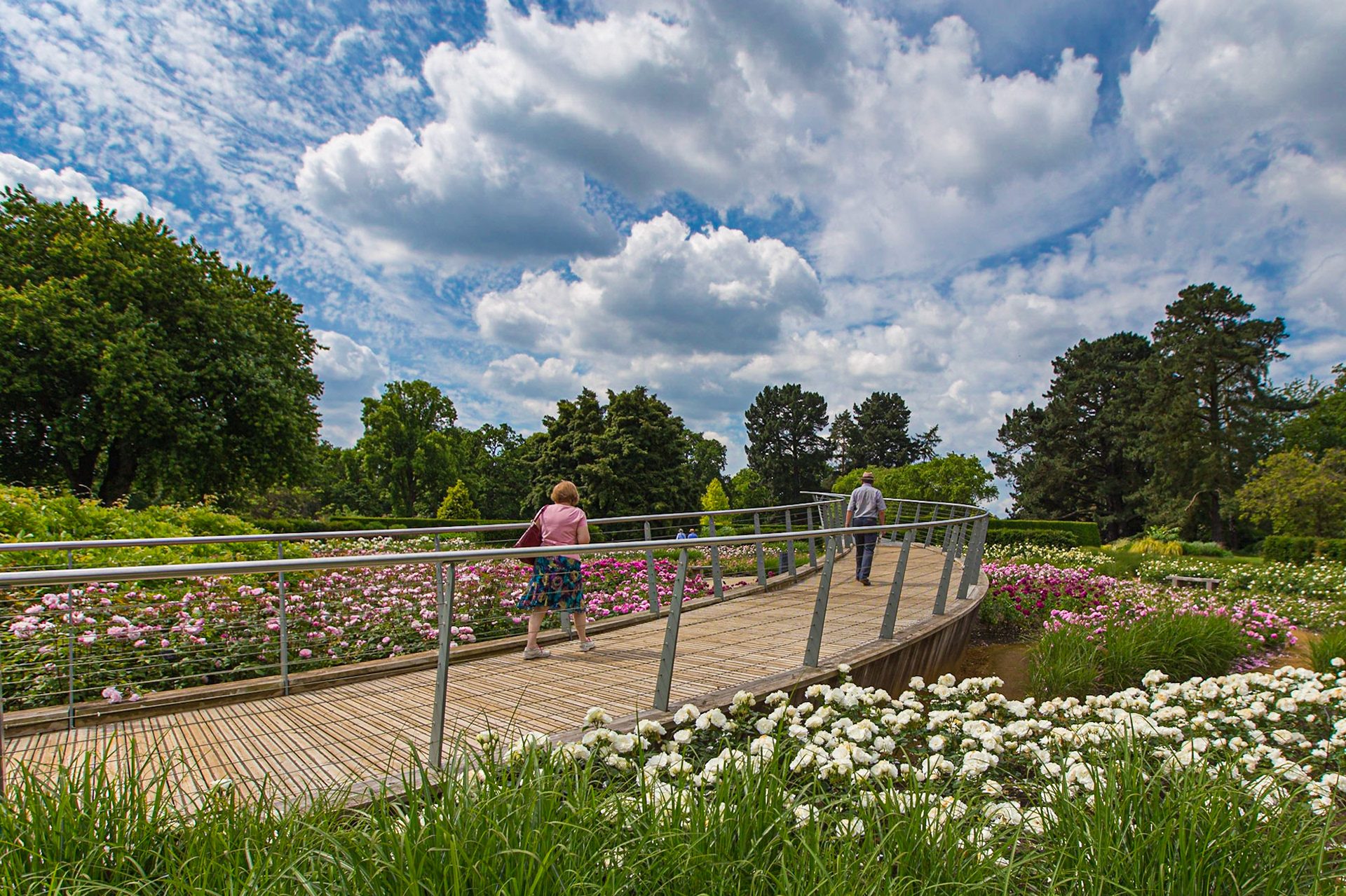 Rose Garden, The Savill Garden