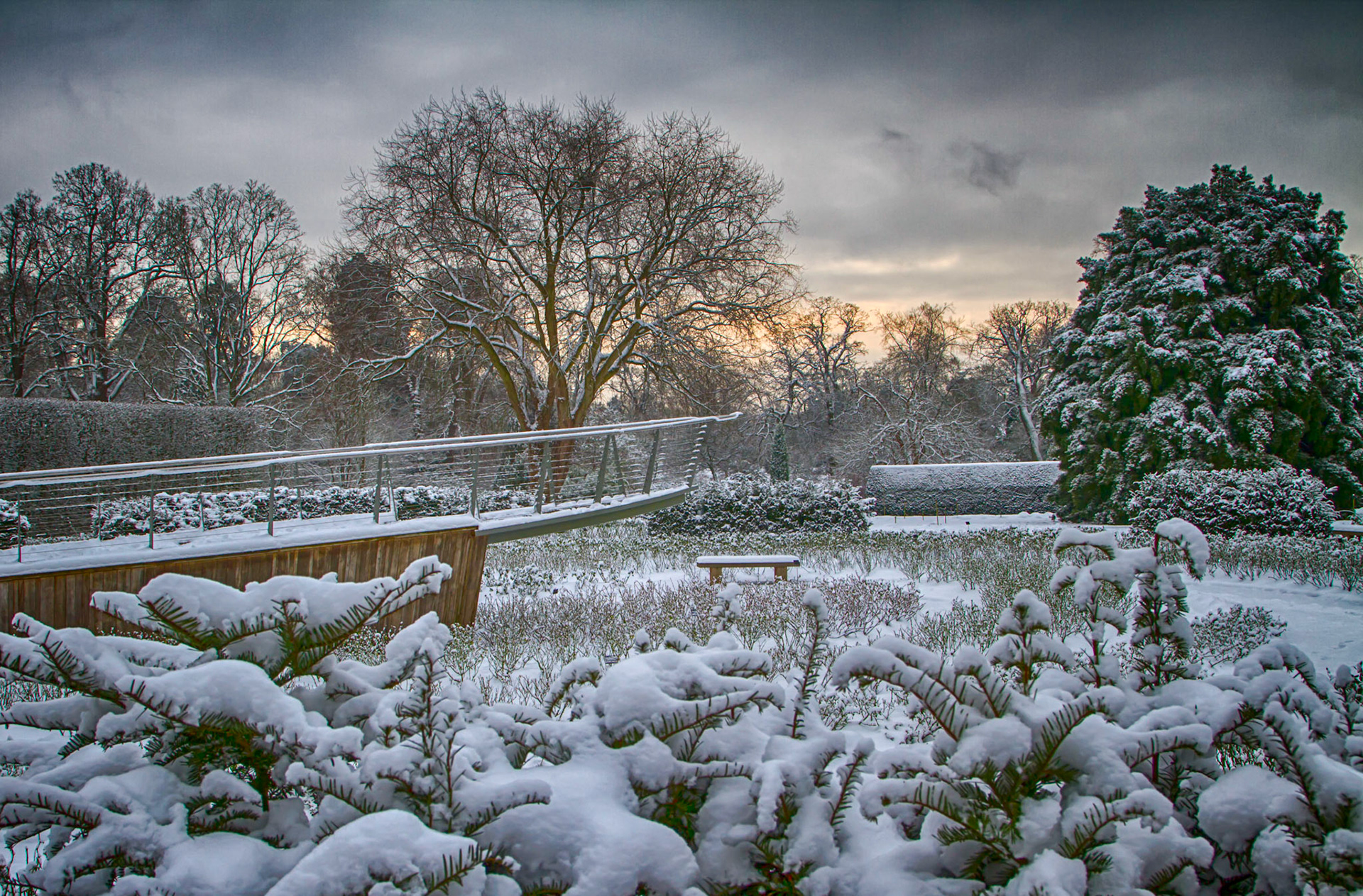 Snow in the Rose Garden, The Savill Garden