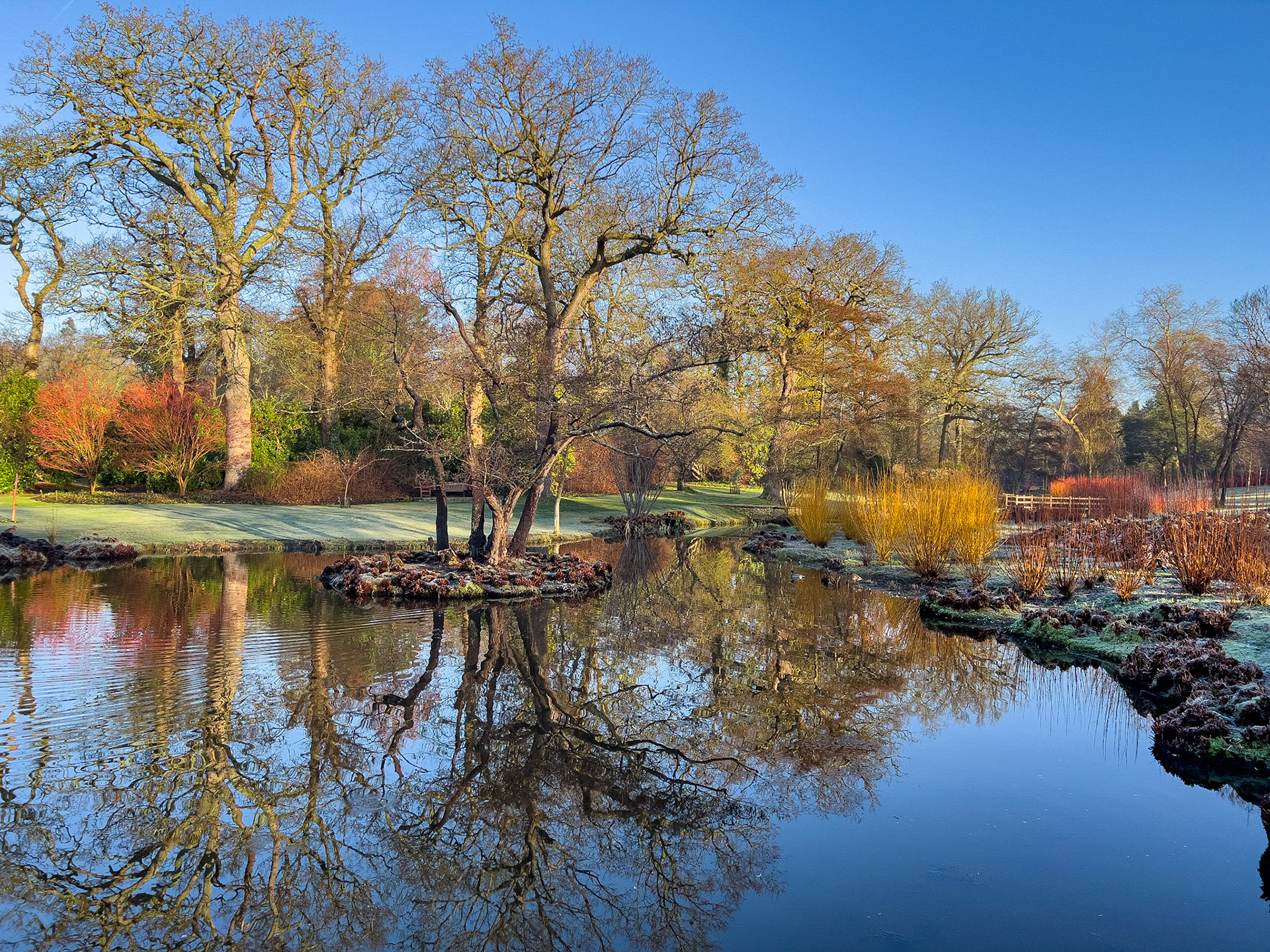 Spring at Savill Garden Pond