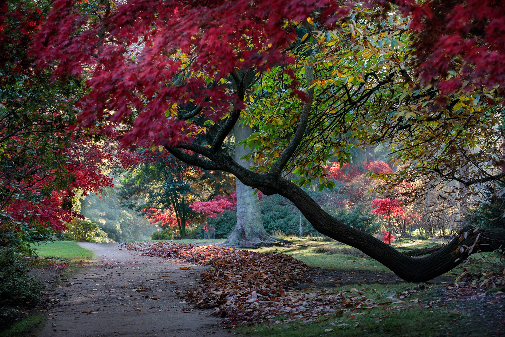 Autumn, Valley Gardens