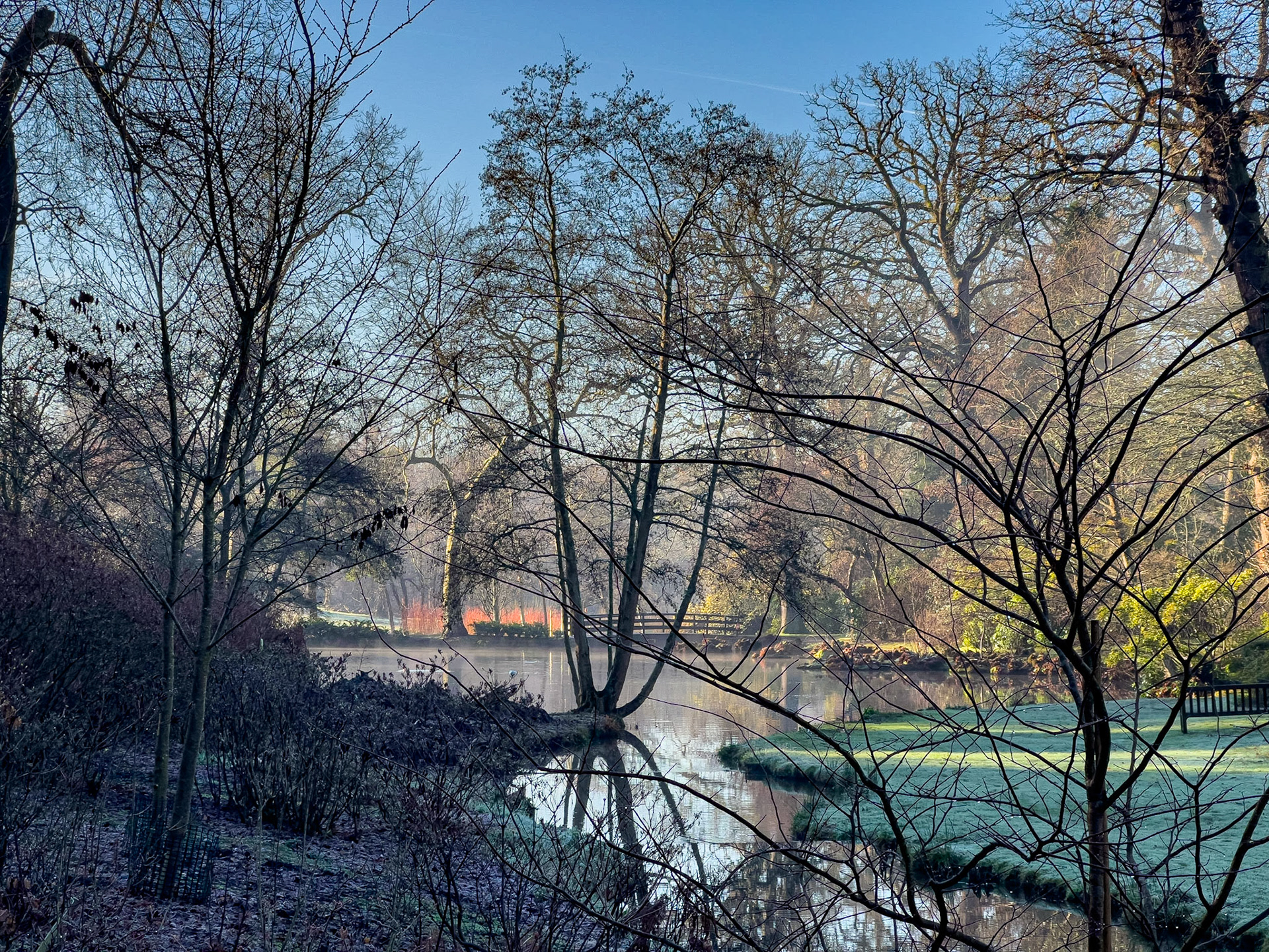 Spring at Savill Garden Pond