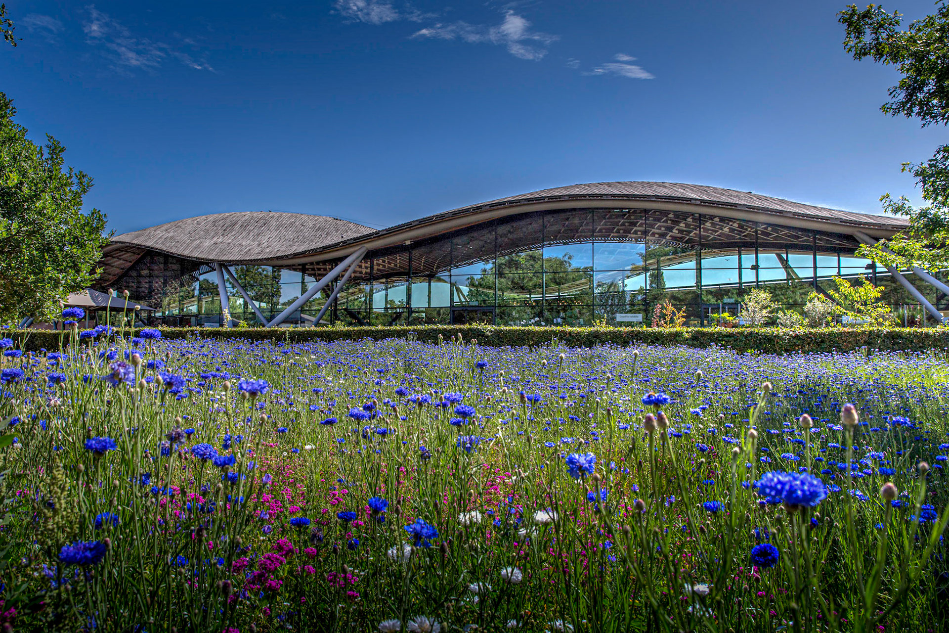 The Savill Building