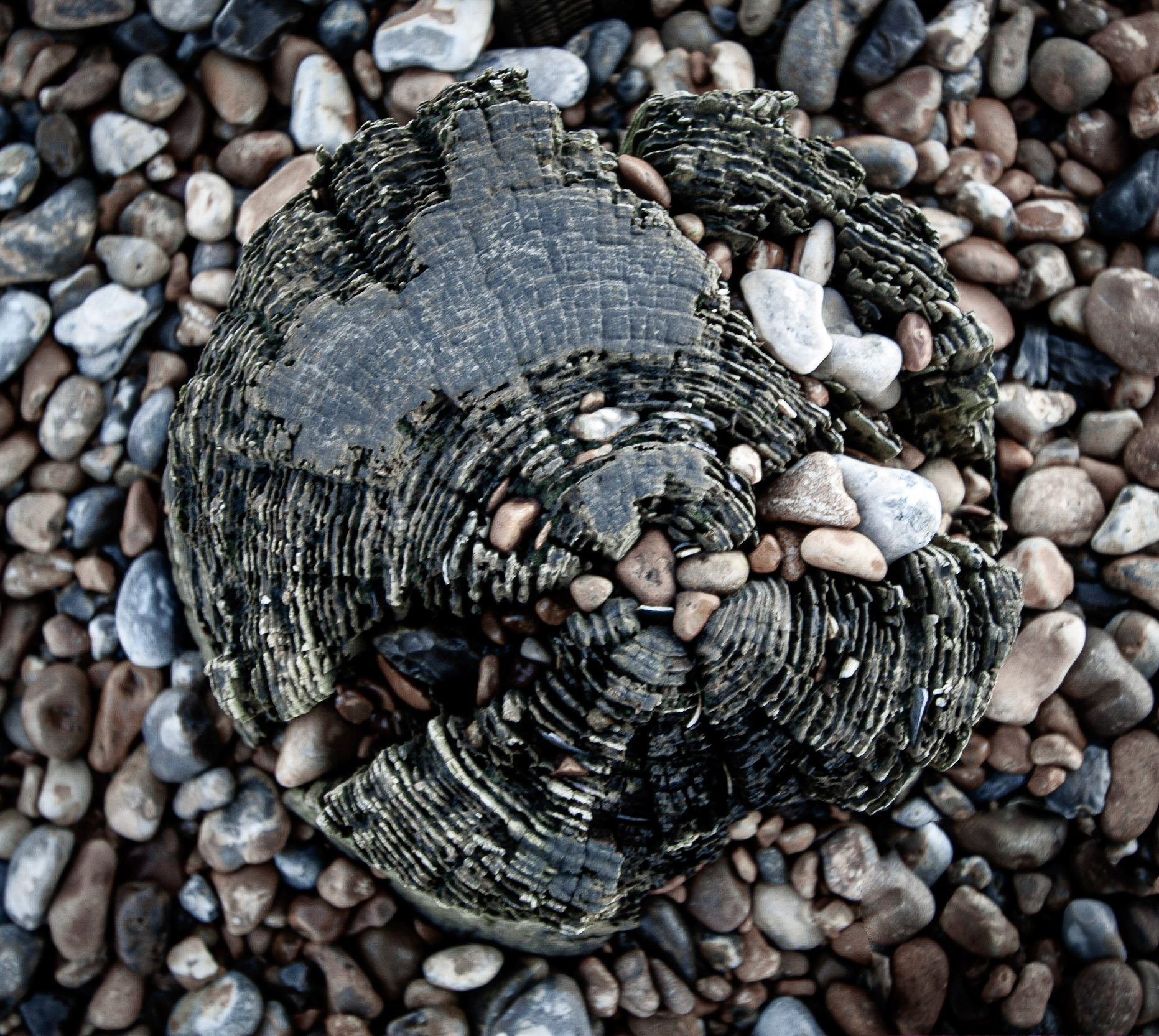 Beach Post