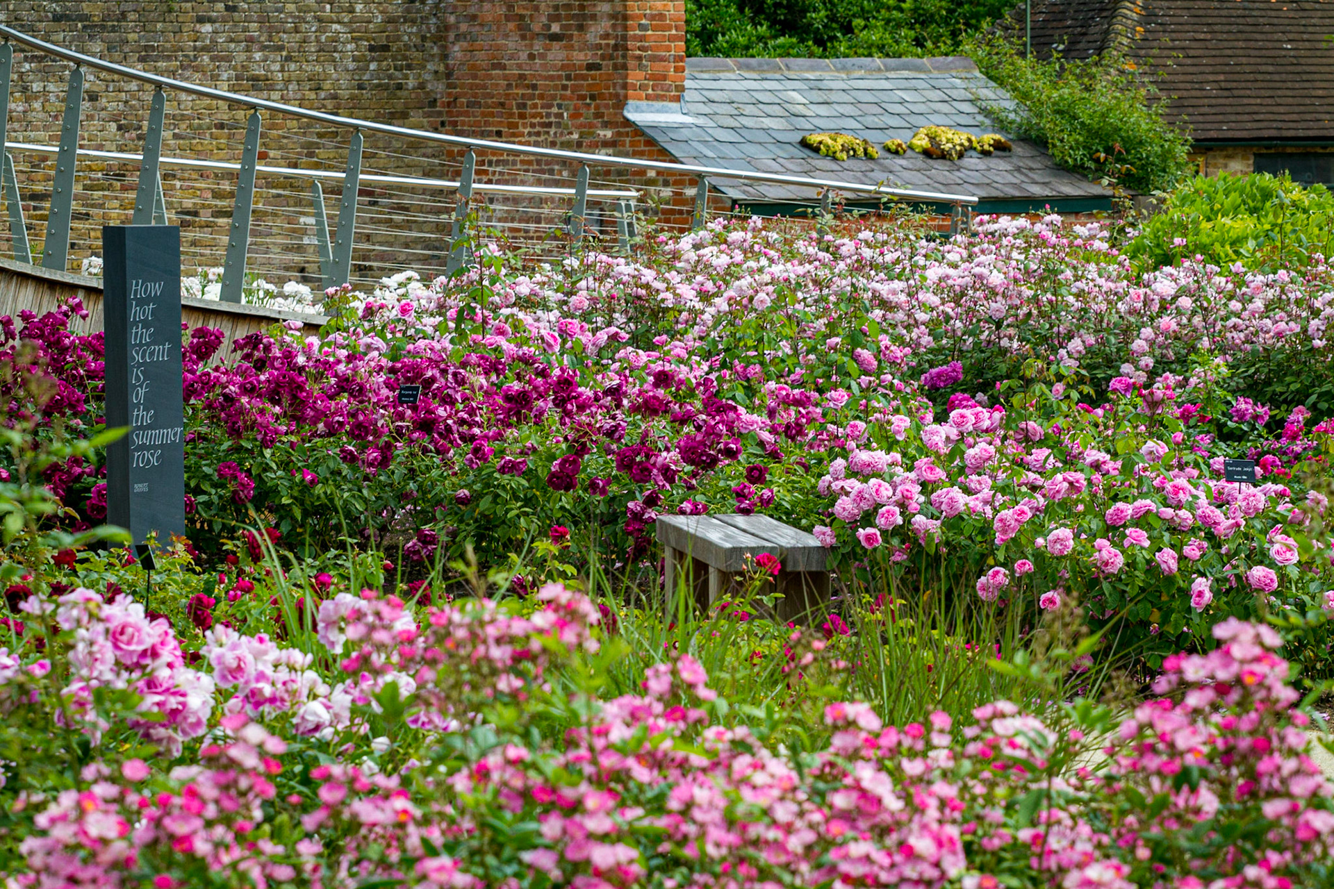Rose Garden, The Savill Garden