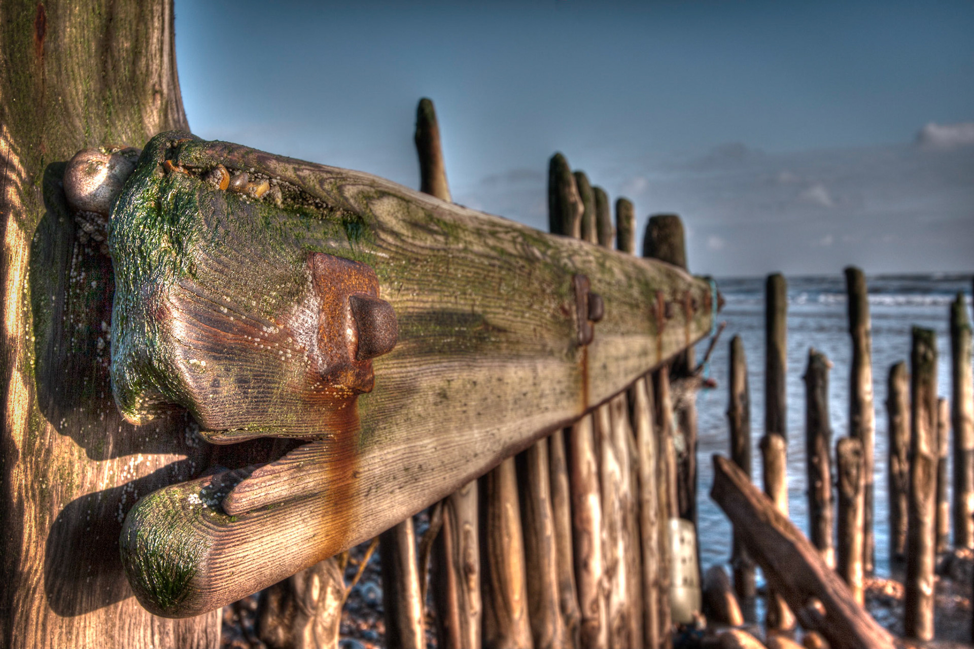 Breakwater Face, Rye