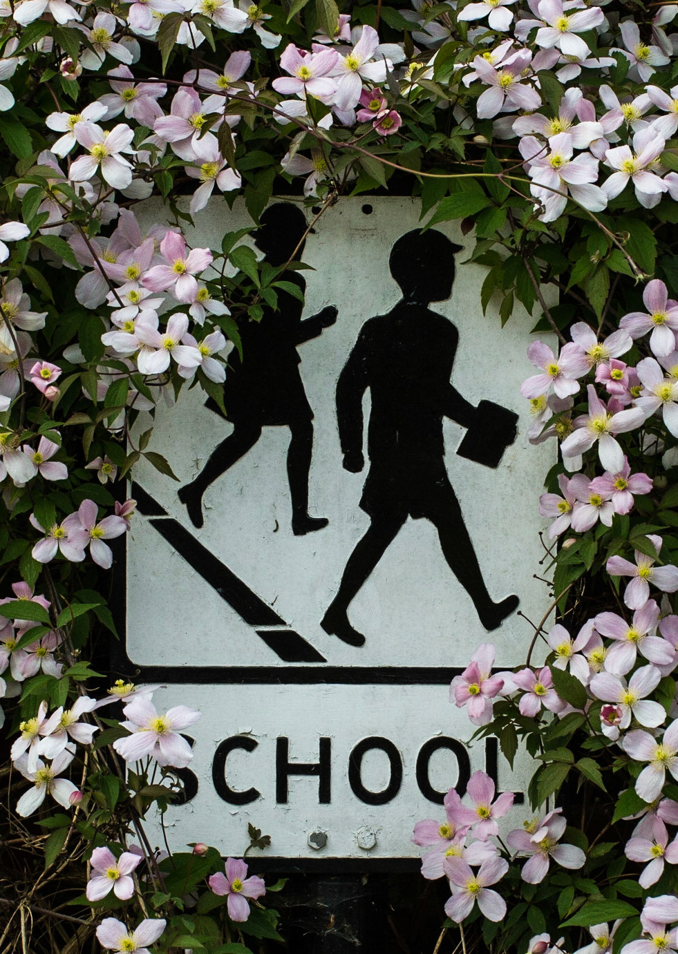 School Crossing