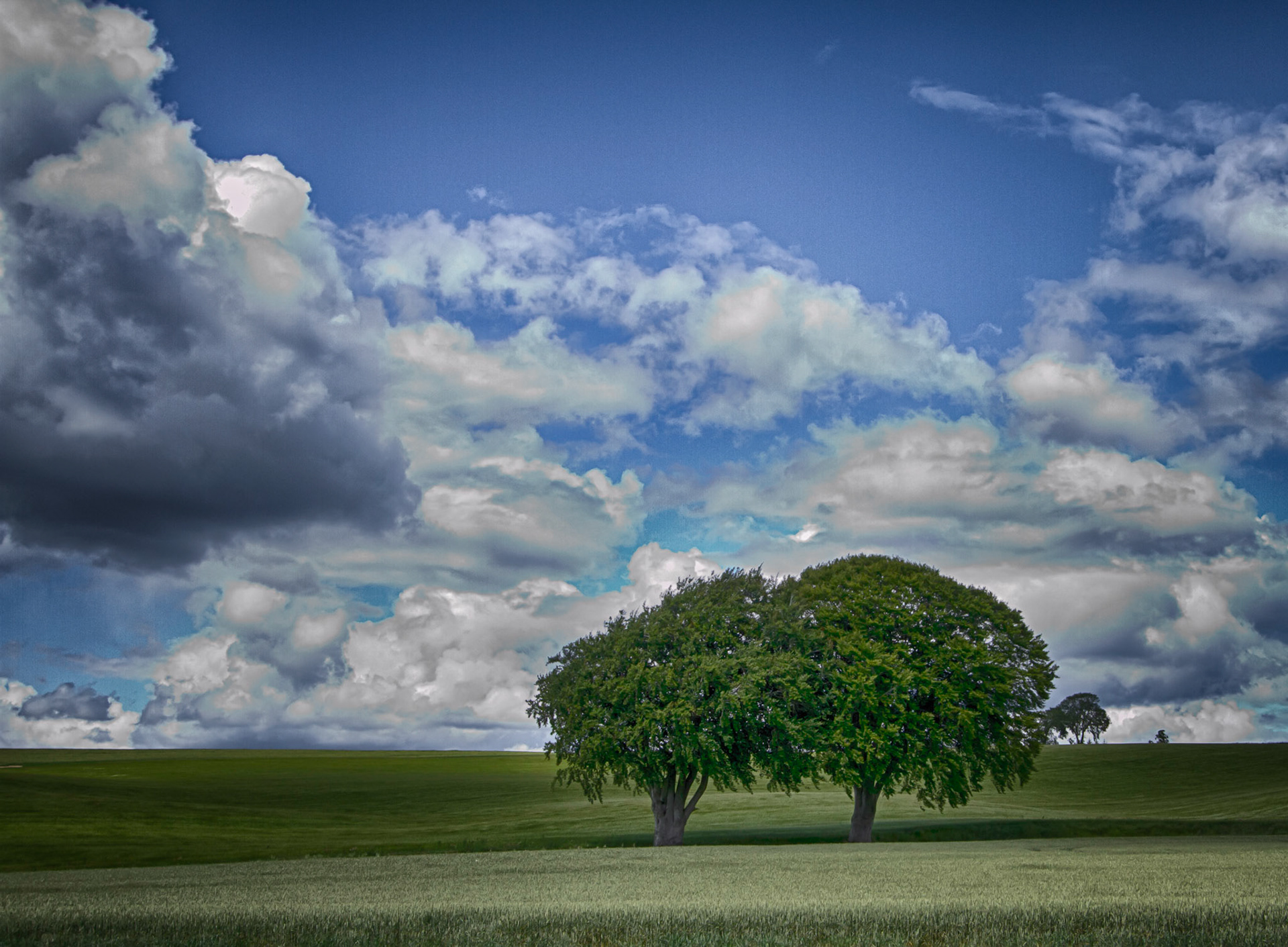 Near Munlochy North East Scotland UK