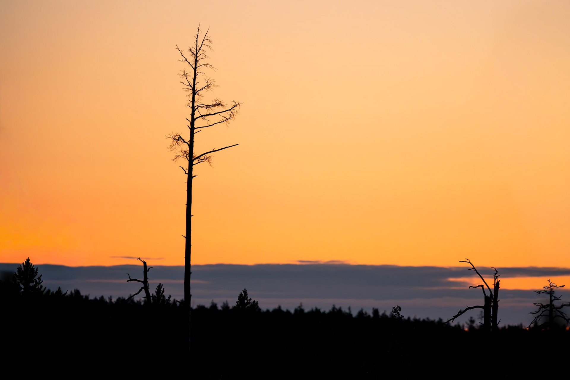 Hällmark väster om Lanan