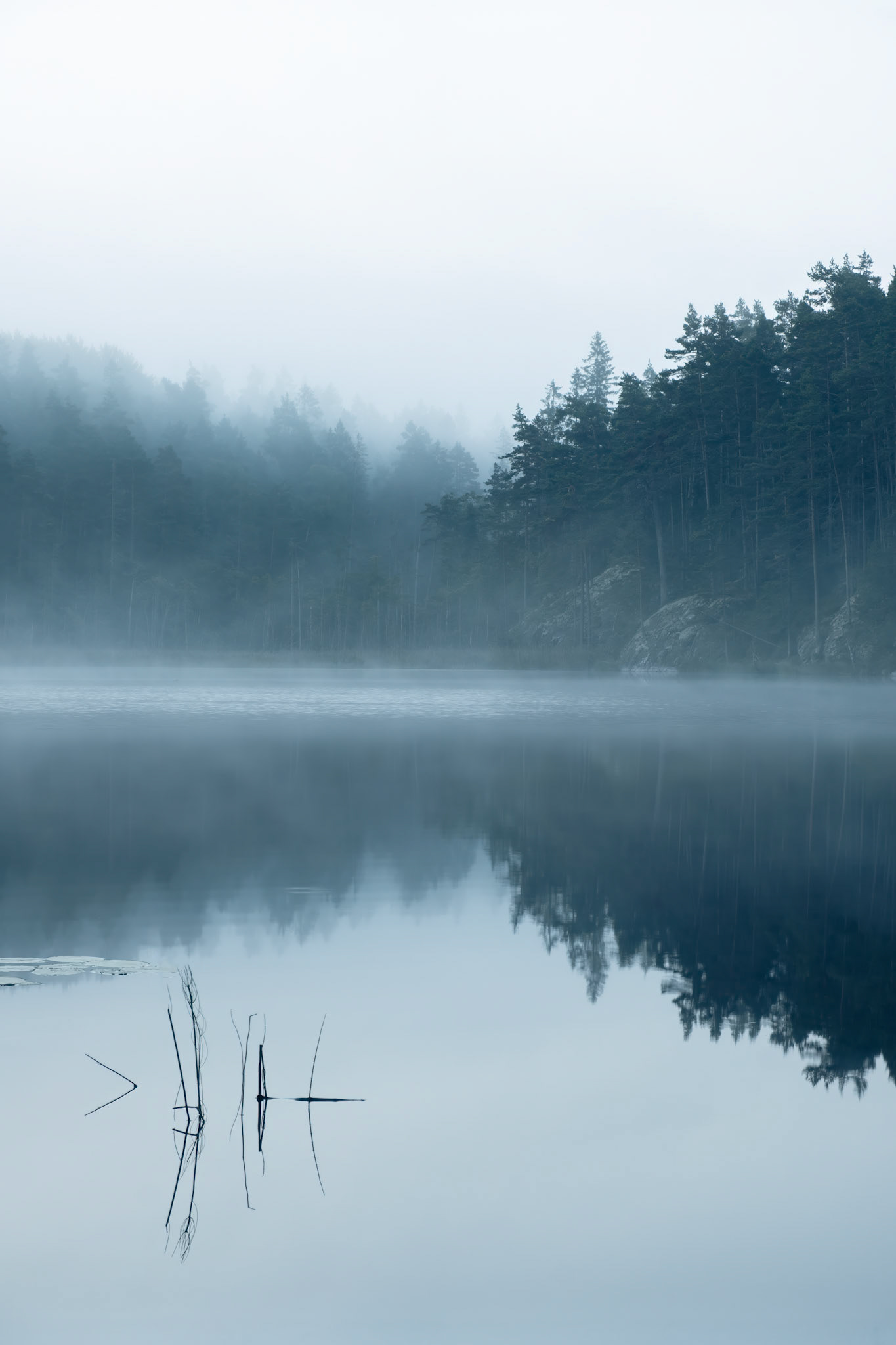 Bylsjön