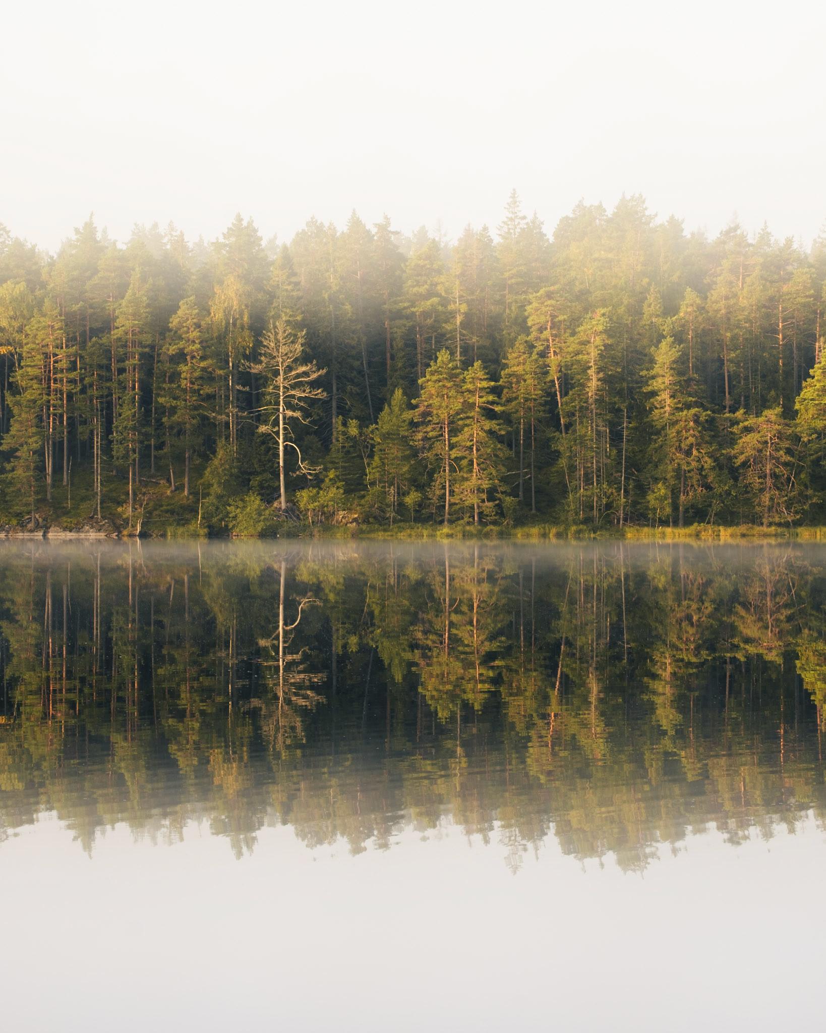 Bylsjön 2