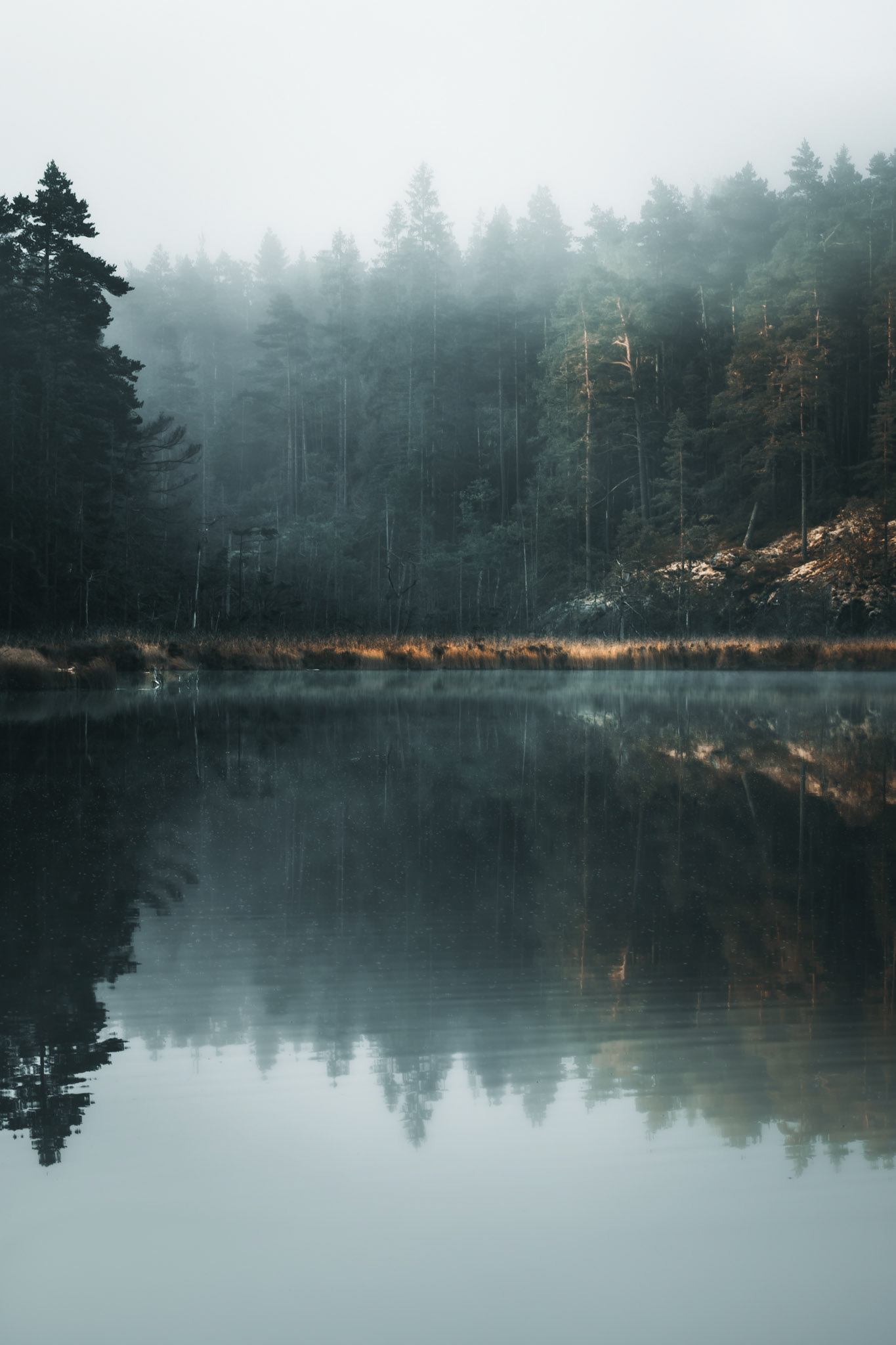 Bylsjön 3