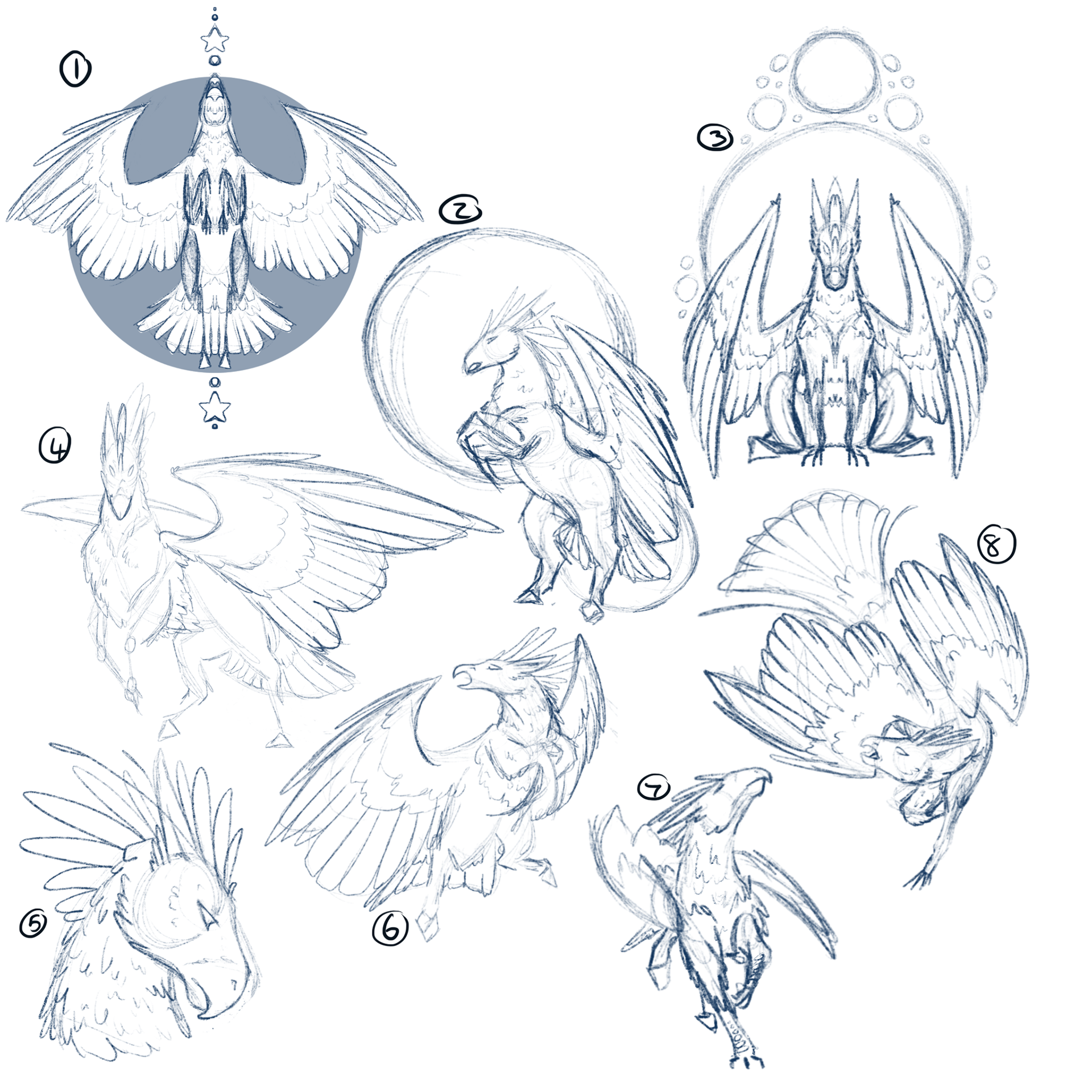 'The Star' Thumbnails