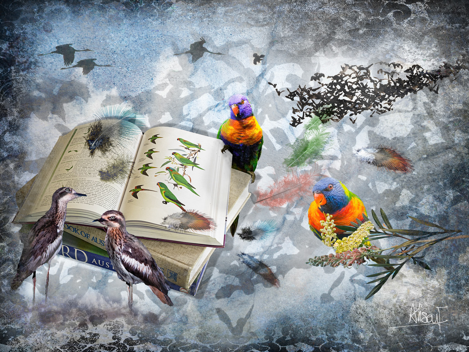 The Bird Book