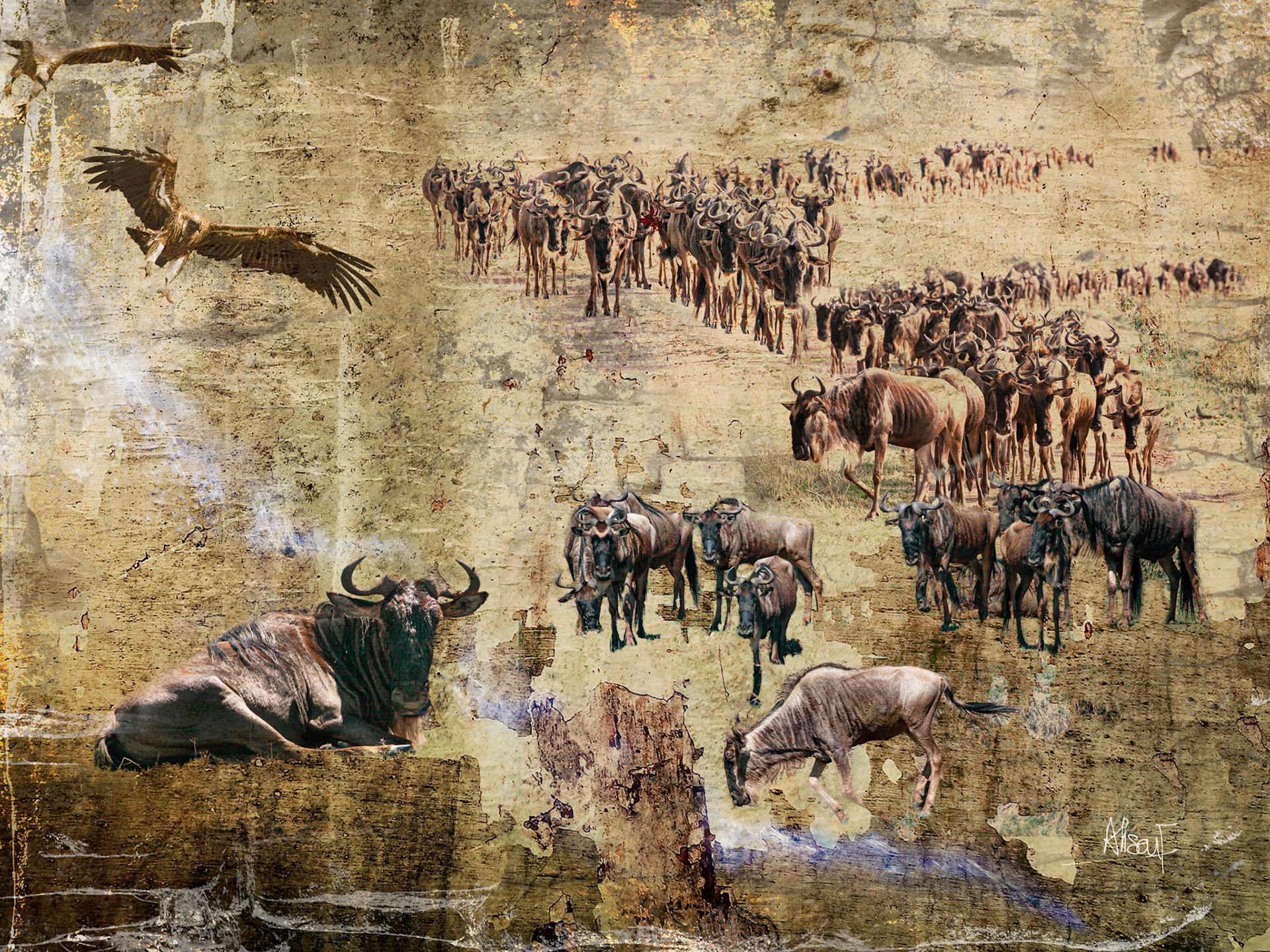 Migration