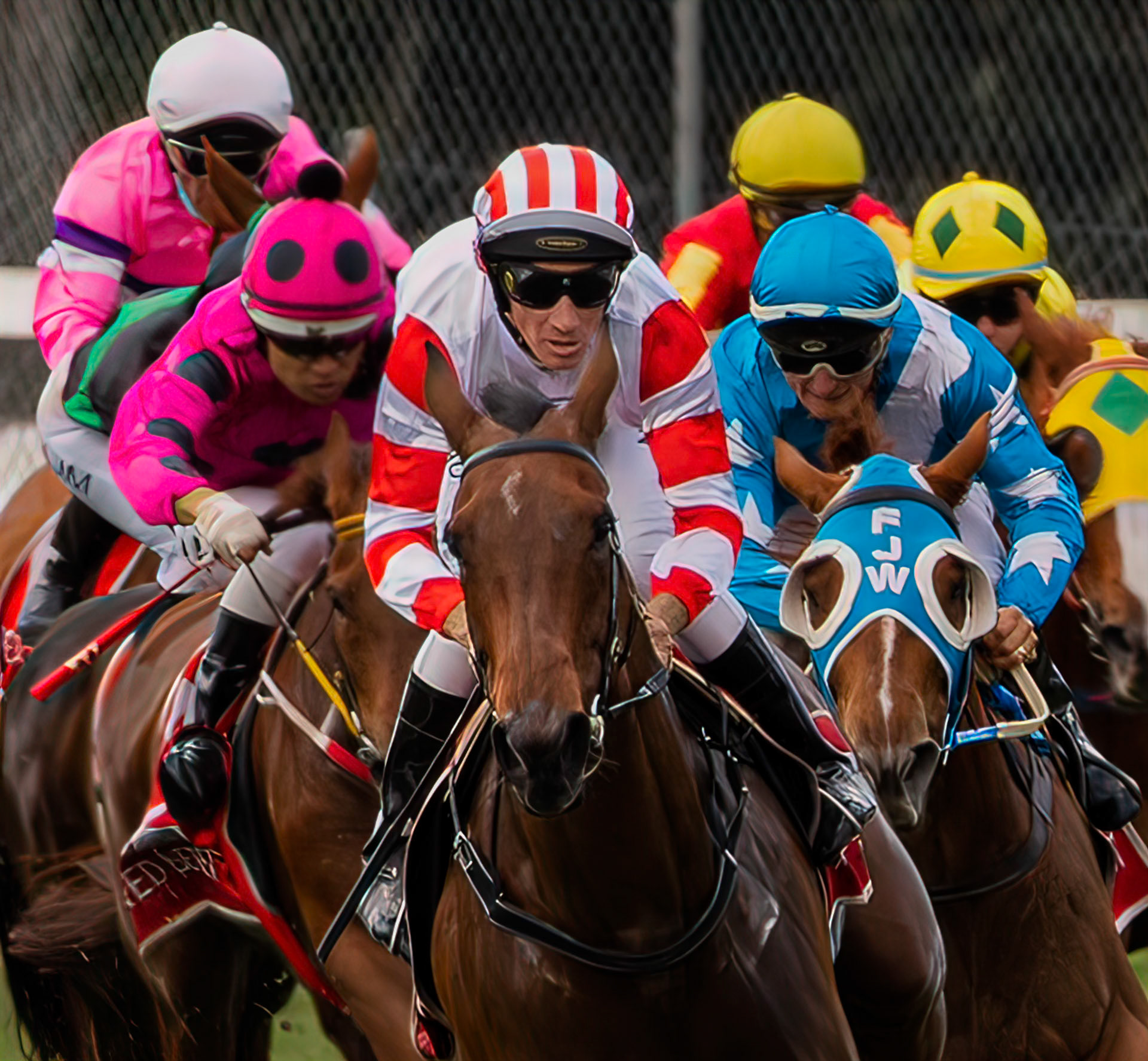 Cairns Cup