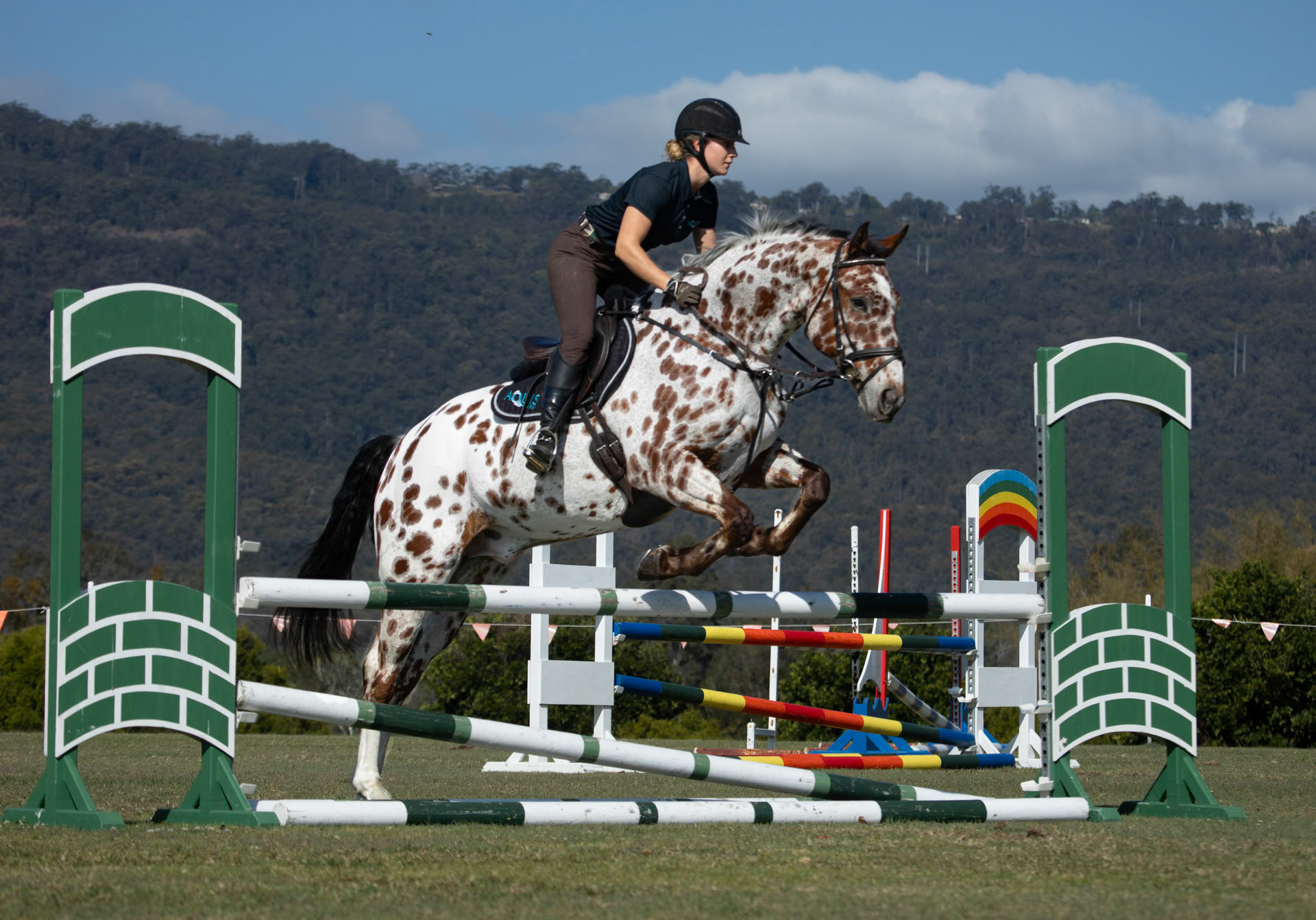 Show-jumping