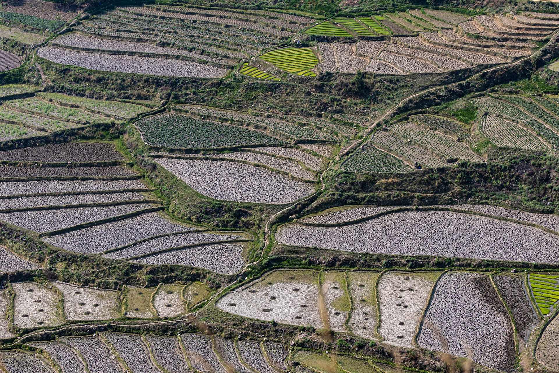 Terraces