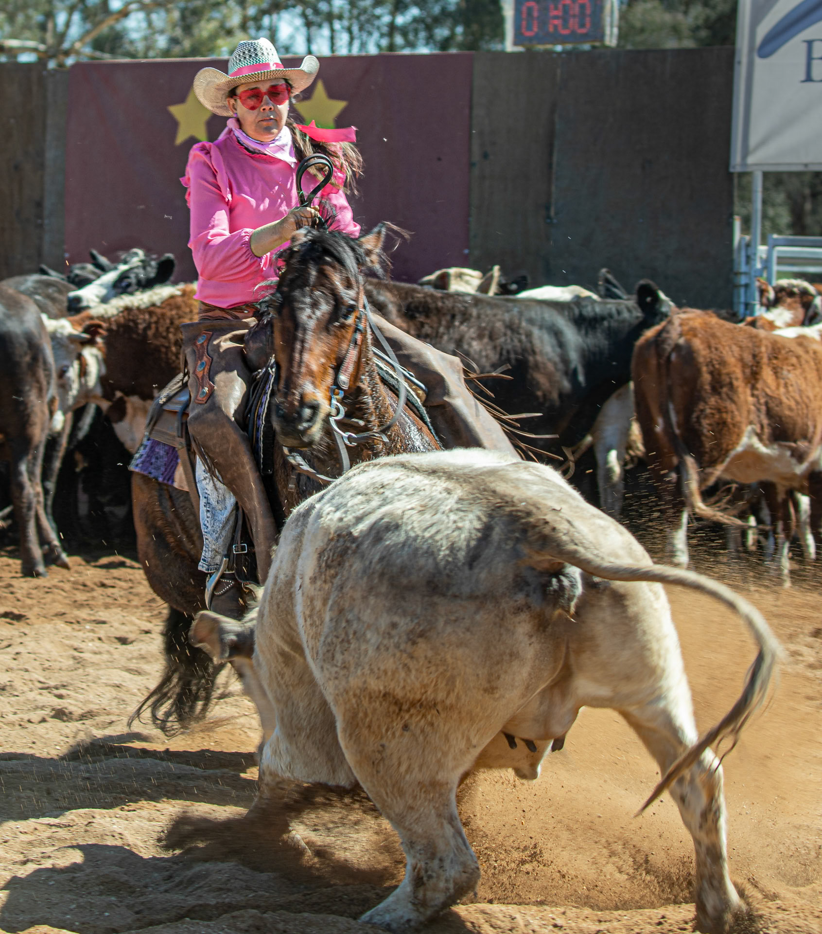 Pink Ribbon Day - Cattle Cutting