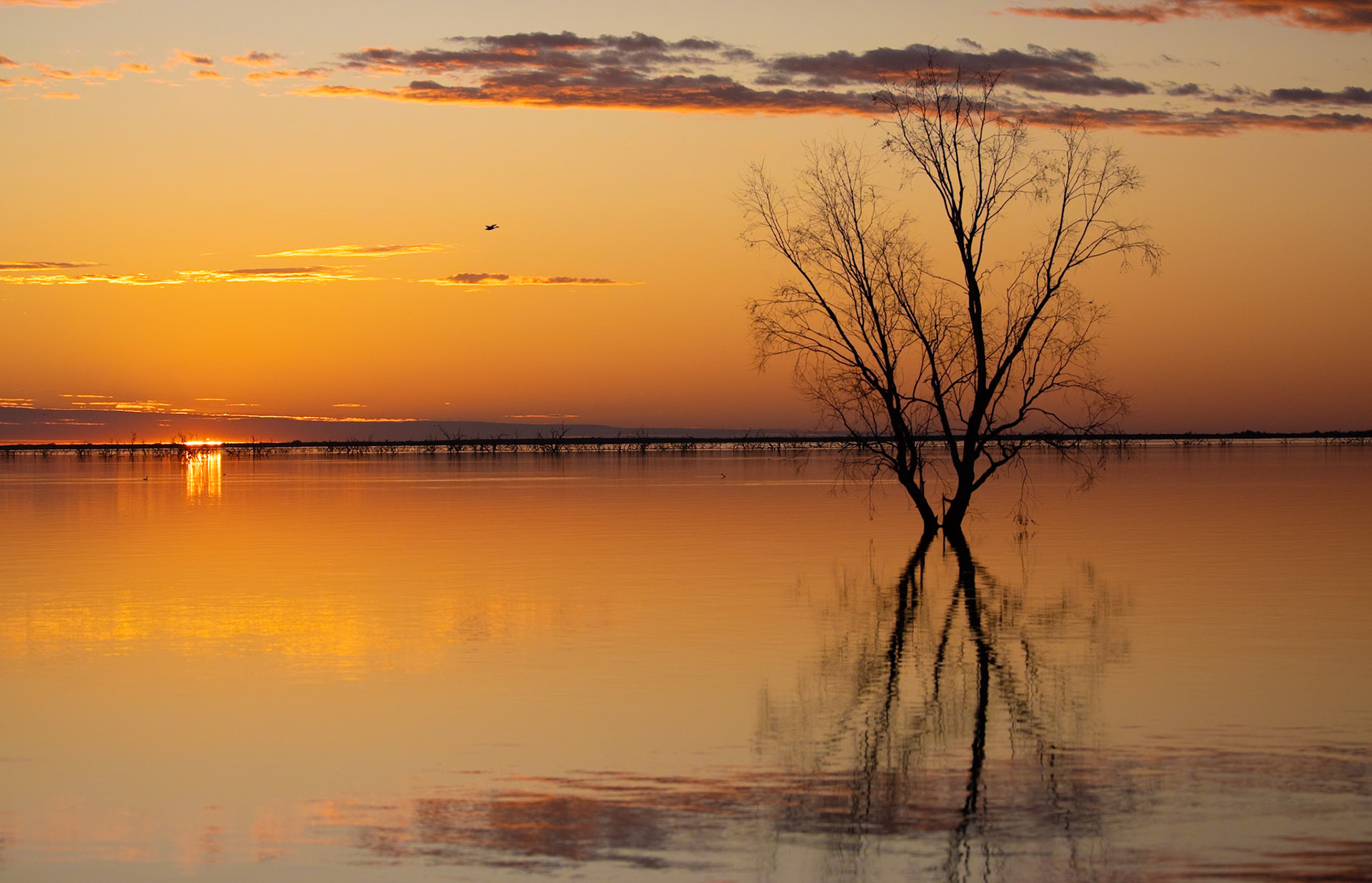 Menindee Lakes