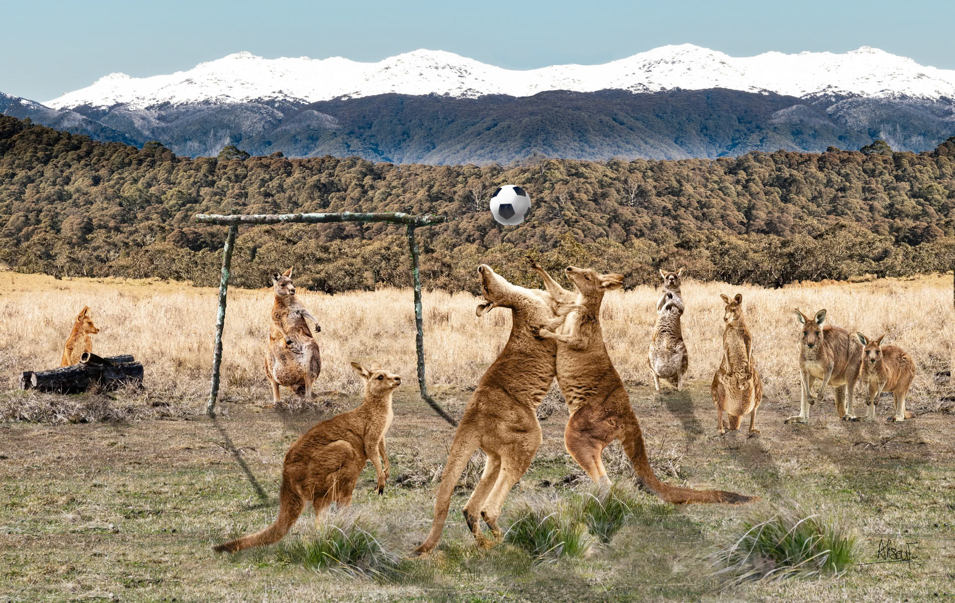 Snowy Socceroos