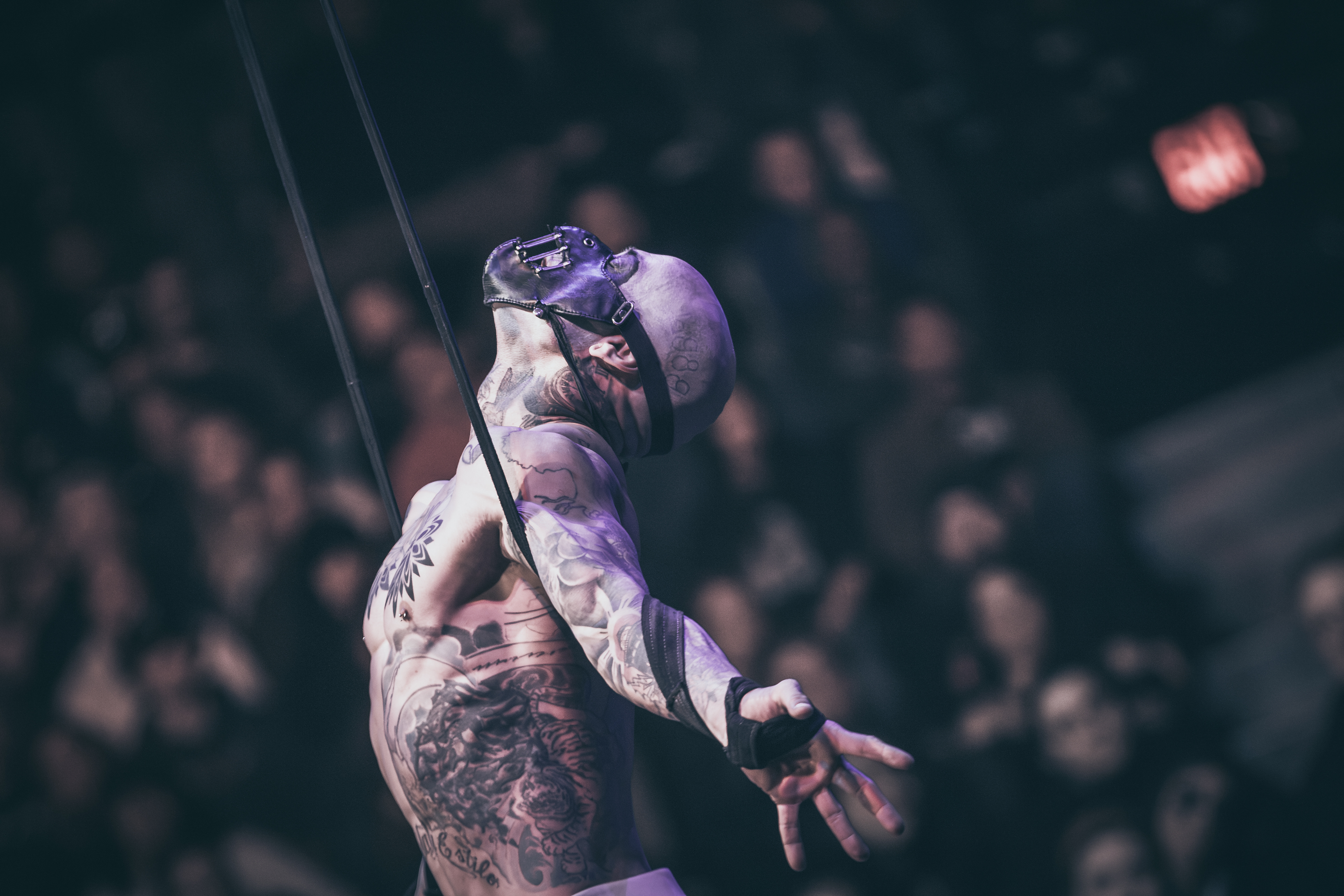 Paranormal Cirque