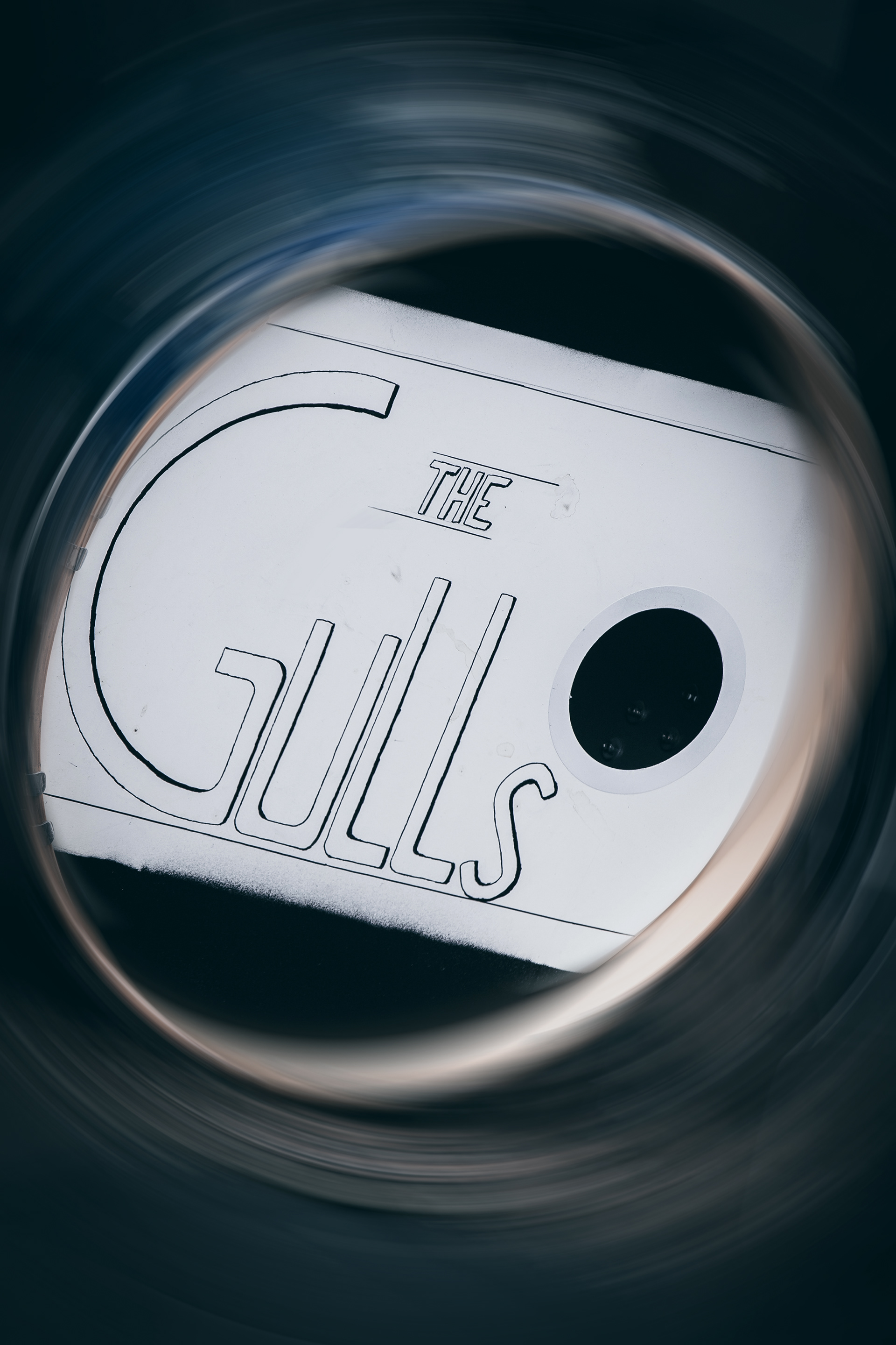 The Gulls