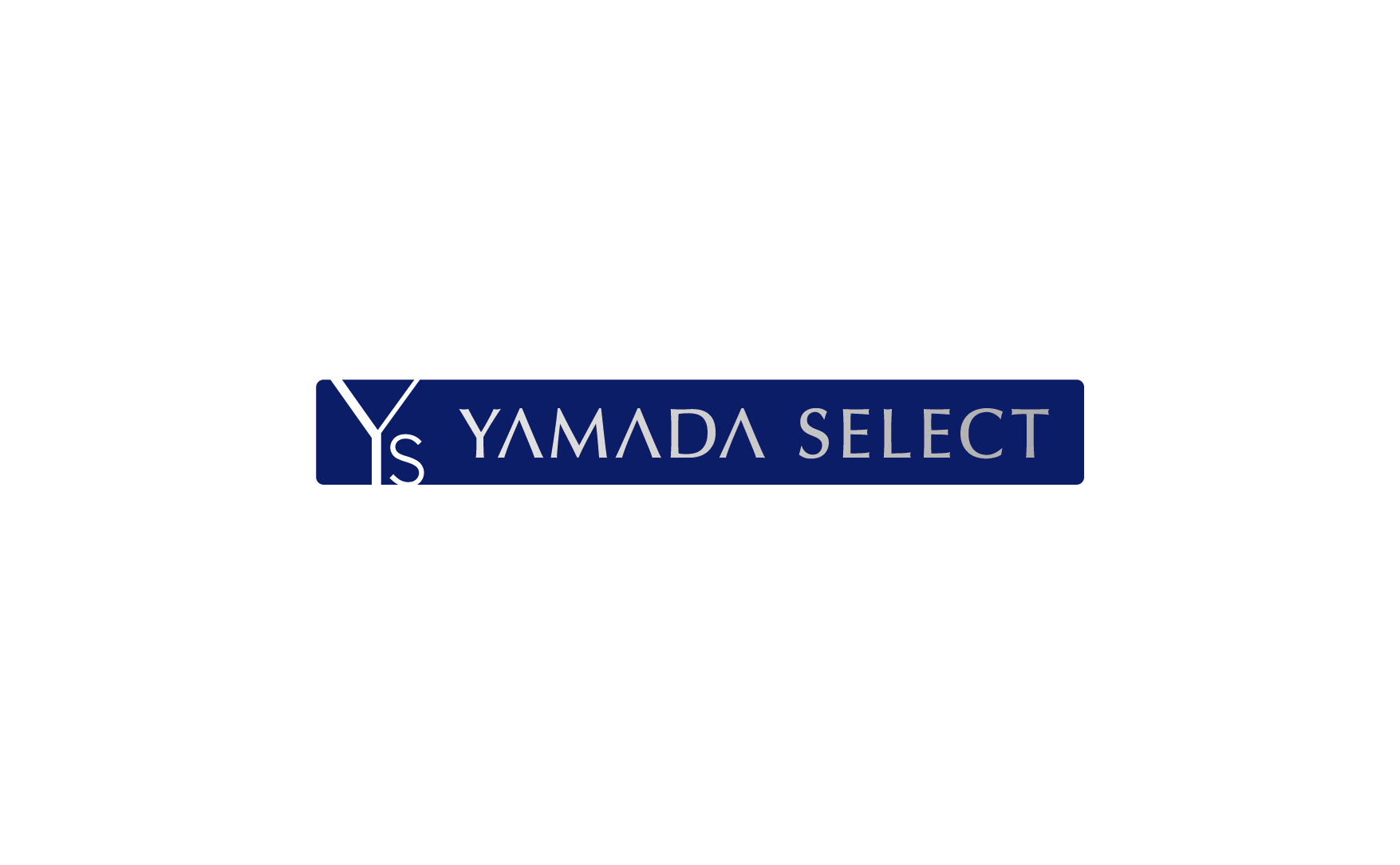 D7sus4 ヤマダ電機 YAMADA SELECT