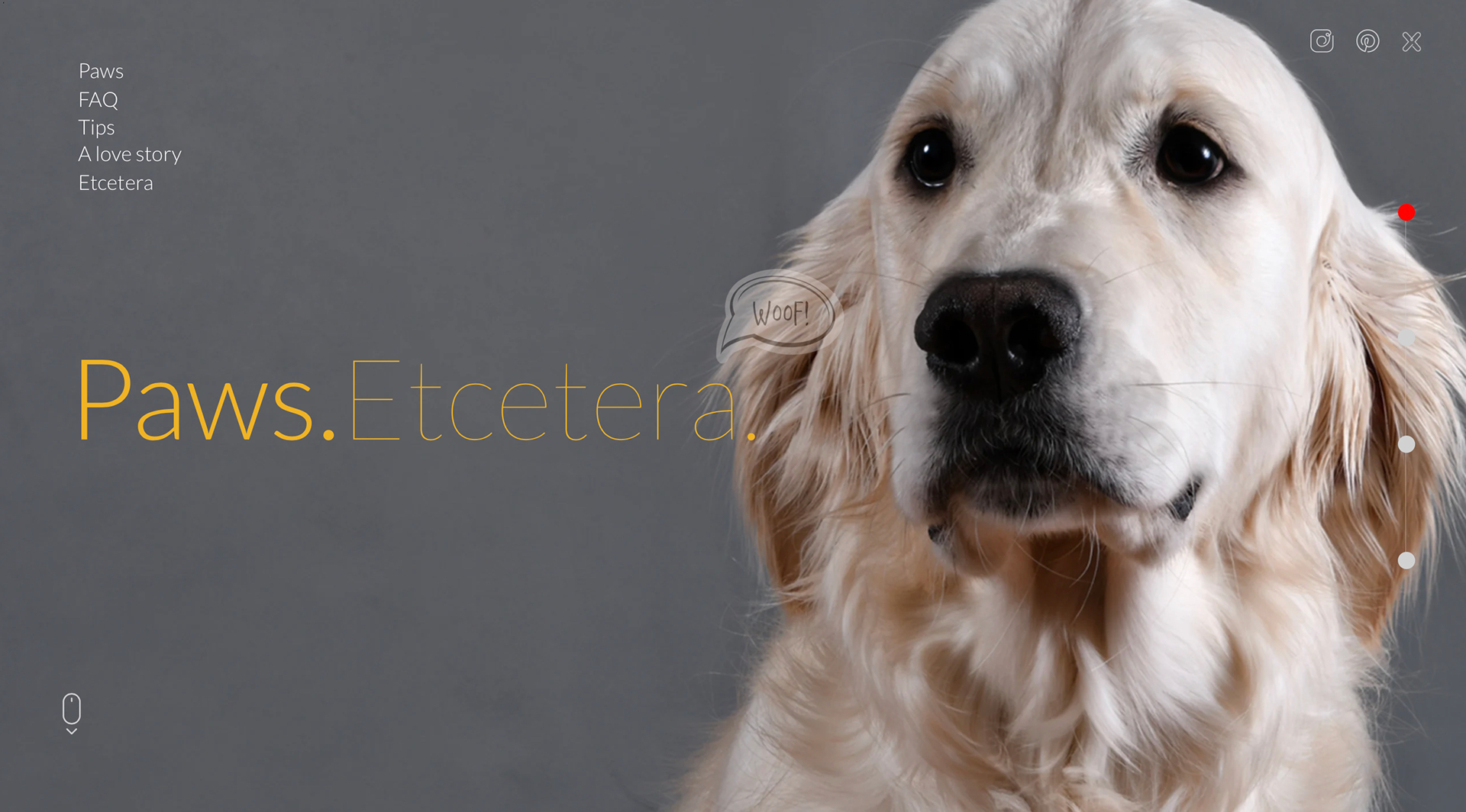 Paws.Etcetera. (Ceros)