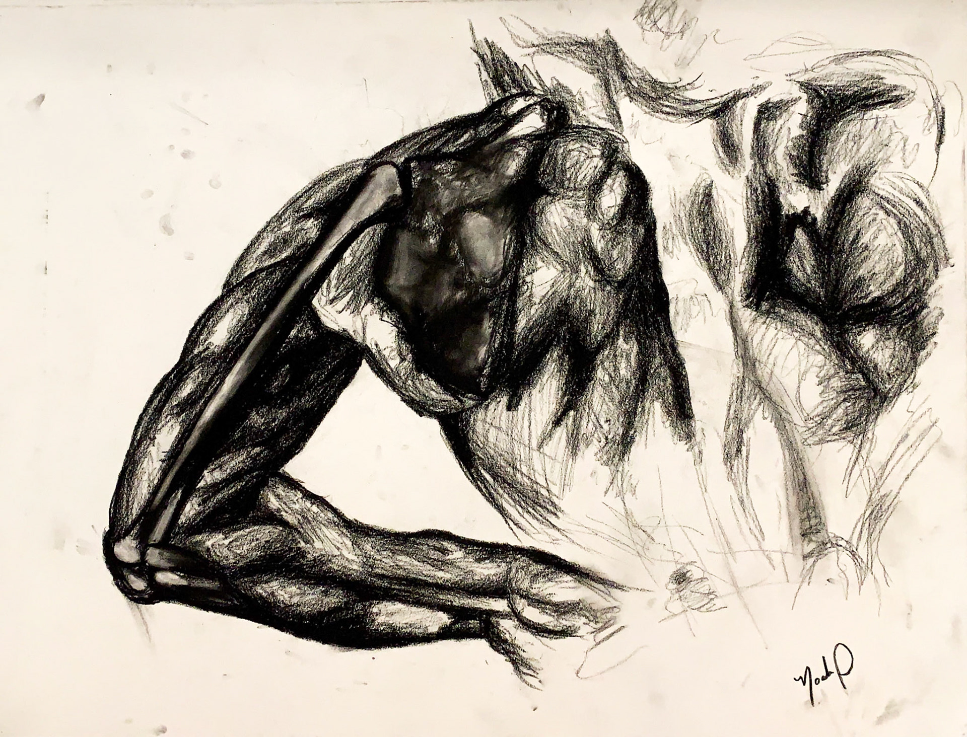Anatomical (2019), charcoal