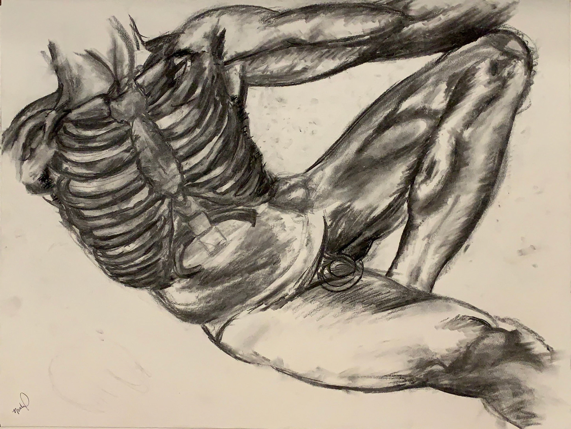 Anatomical (2019), charcoal