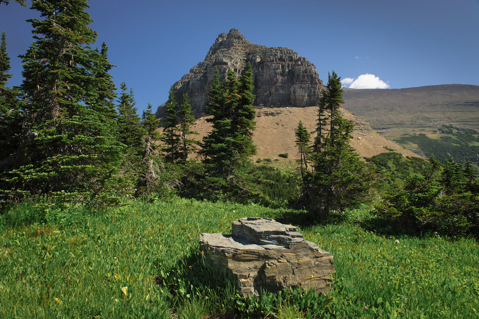 Logan's Pass. Glacier National Park, Montana