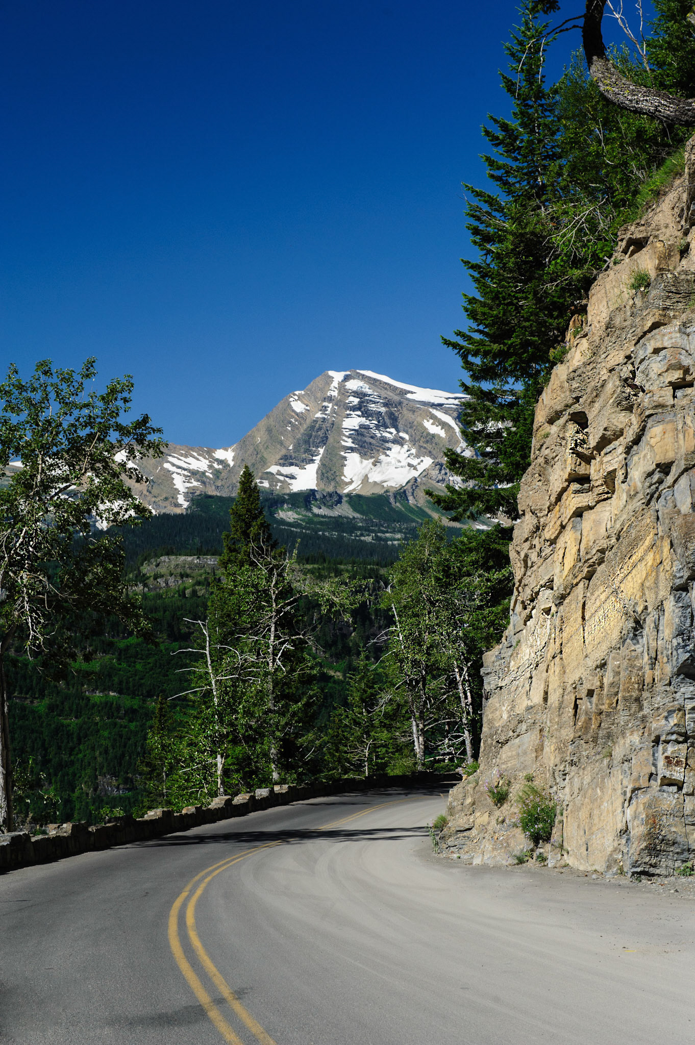 Going to the Sun Road. Glacier National Park, Montana