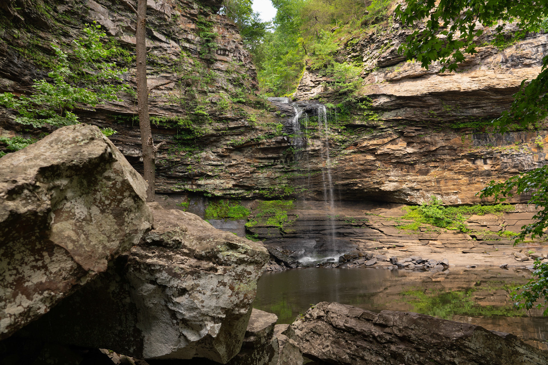 Cedar Falls. Hot Springs, Arkansas