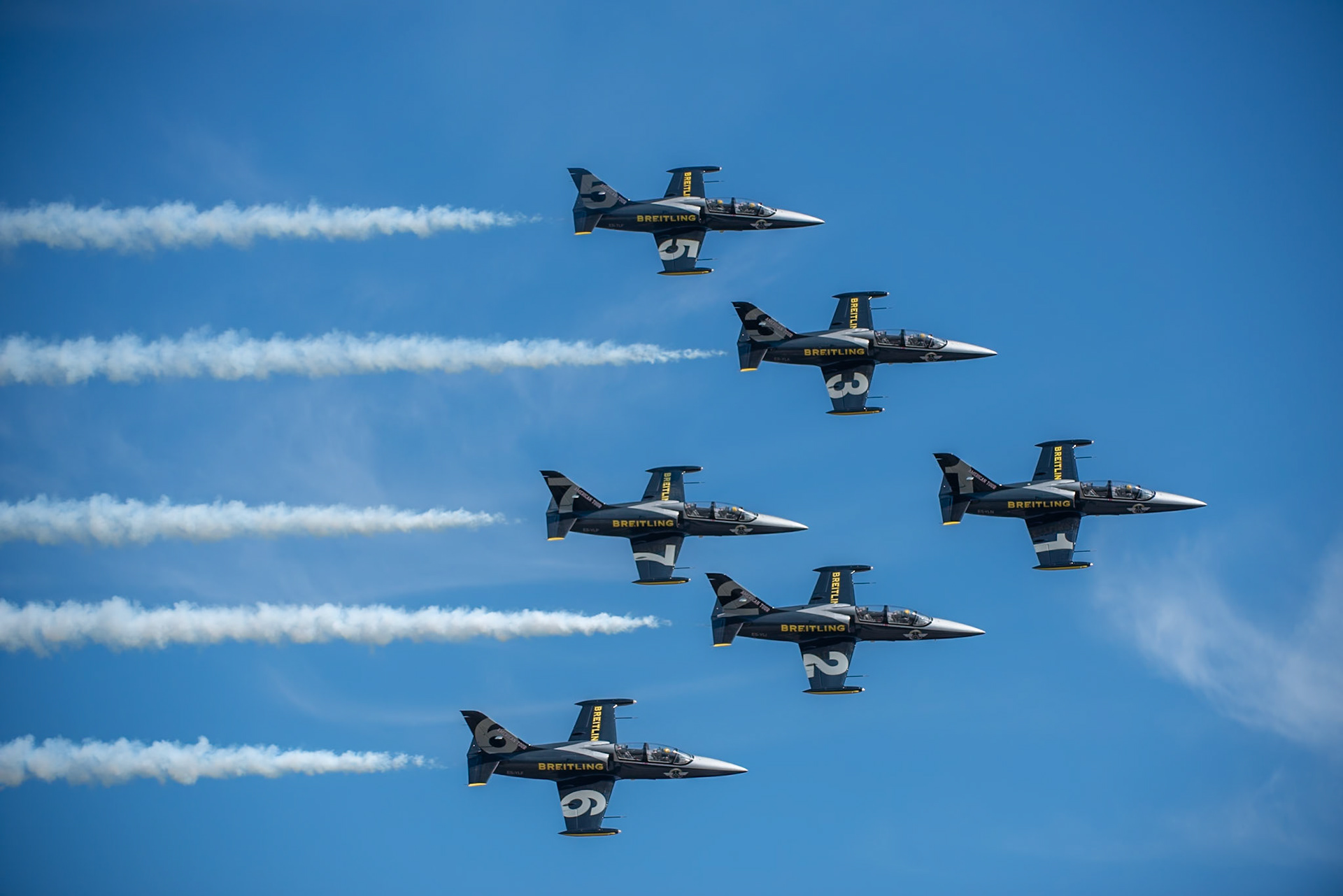 Brietling Jet Team L-39 Albatros