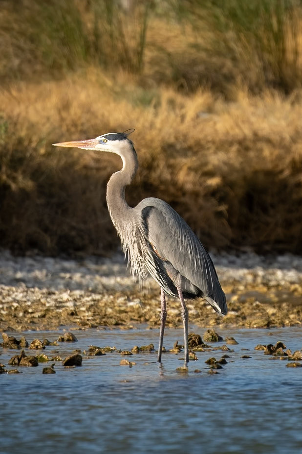 Little Bay in Rockort Texas