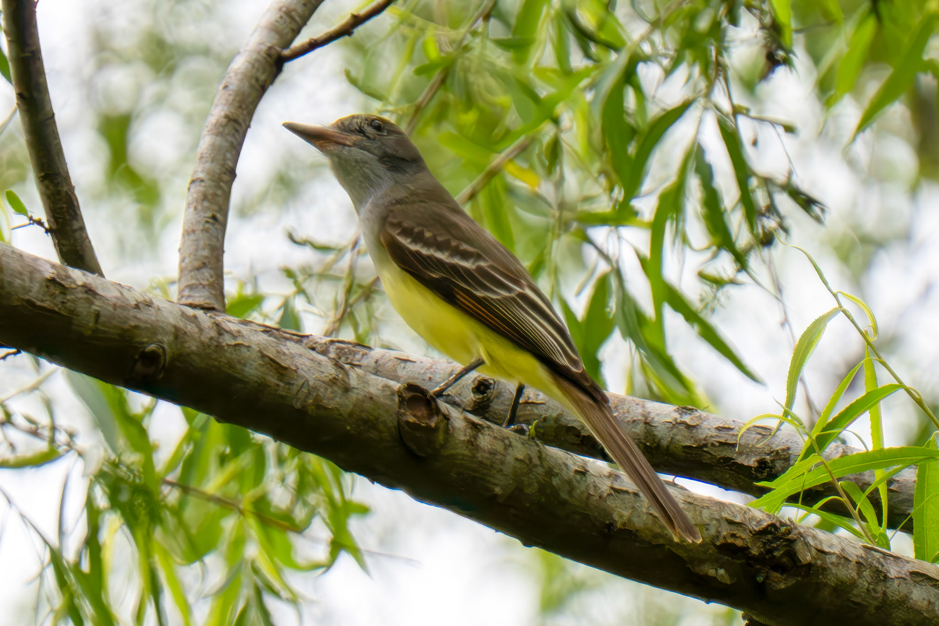 Riverside Park Victoria TX