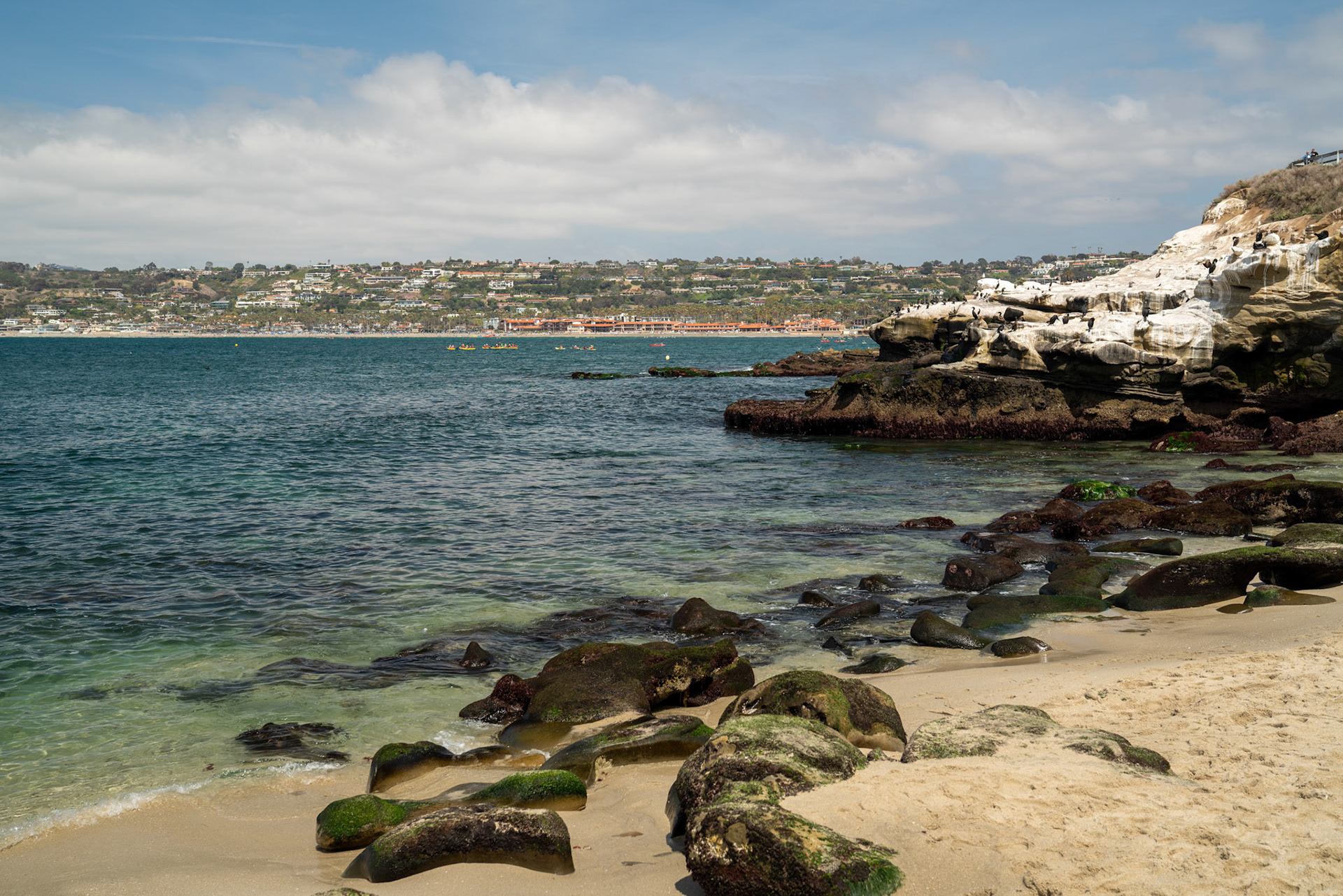 La Jolla Cove