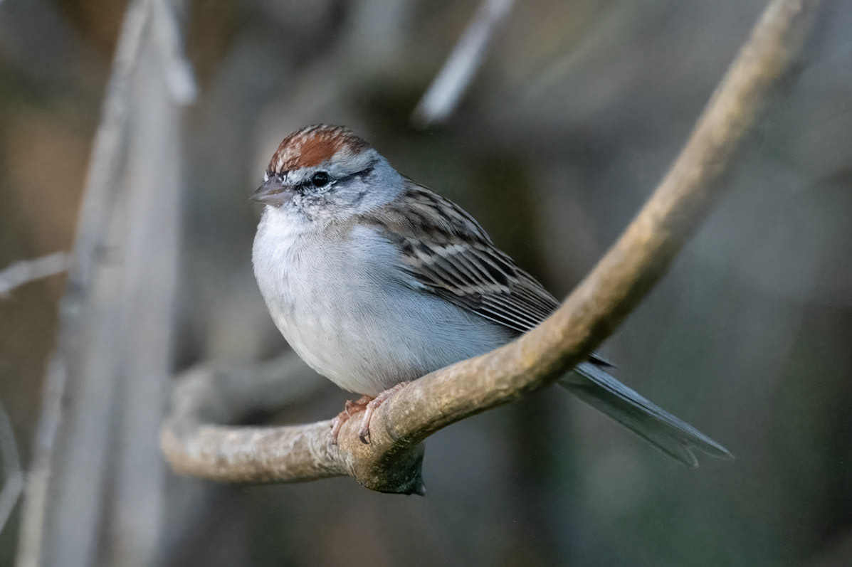 Clinch County Georgia