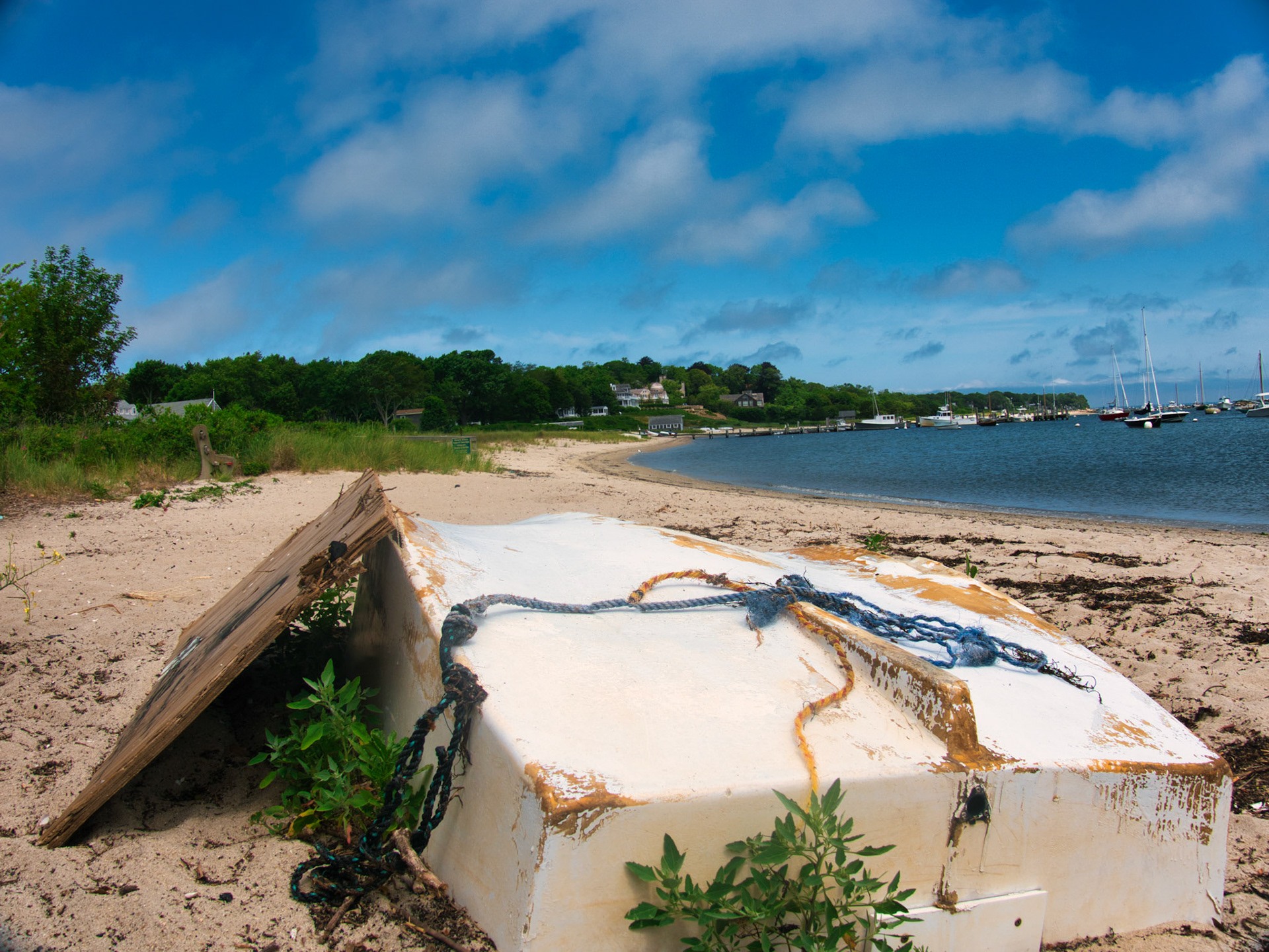Beach at Vineyard Haven