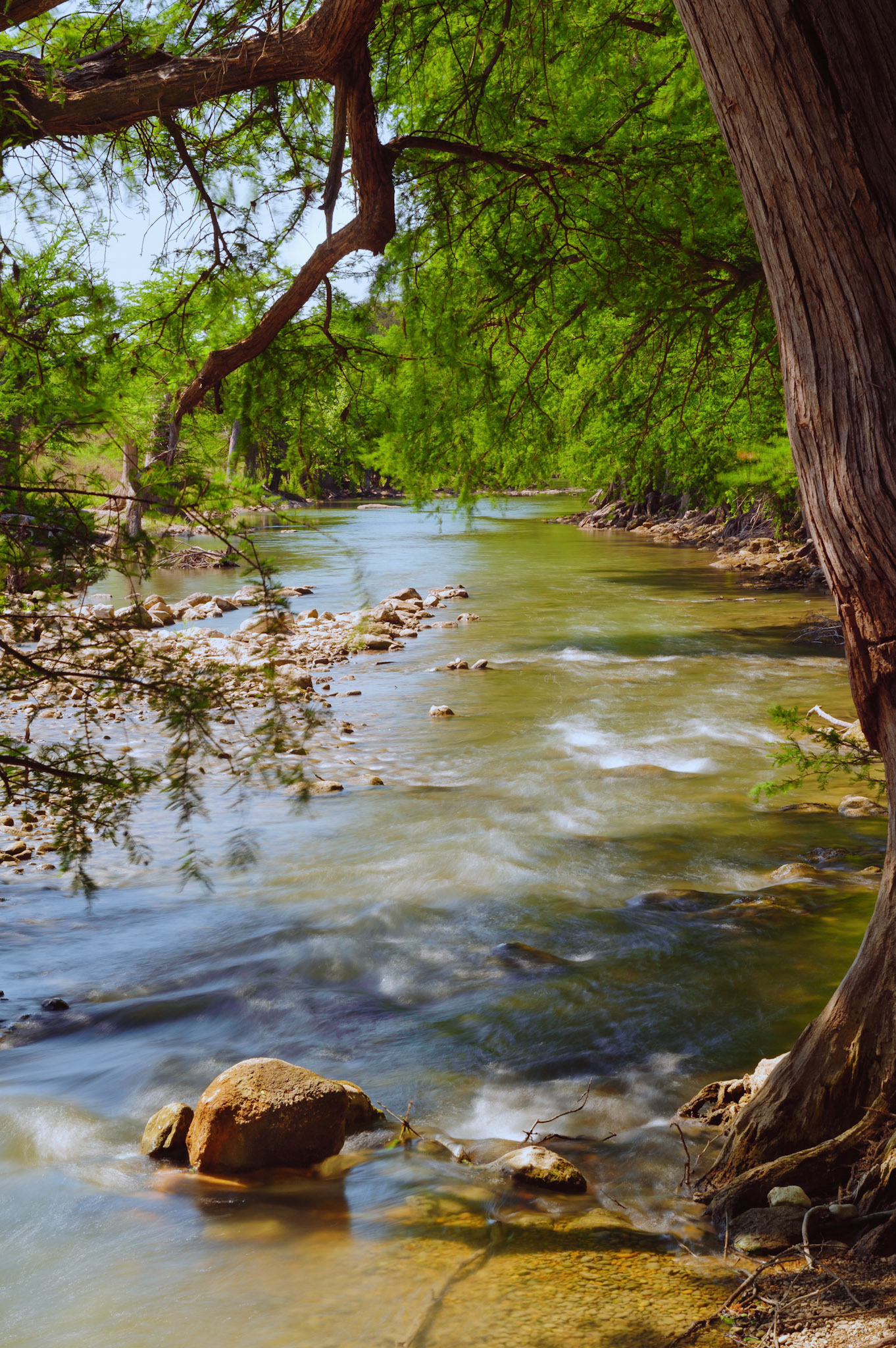 Guadalupe State Park
