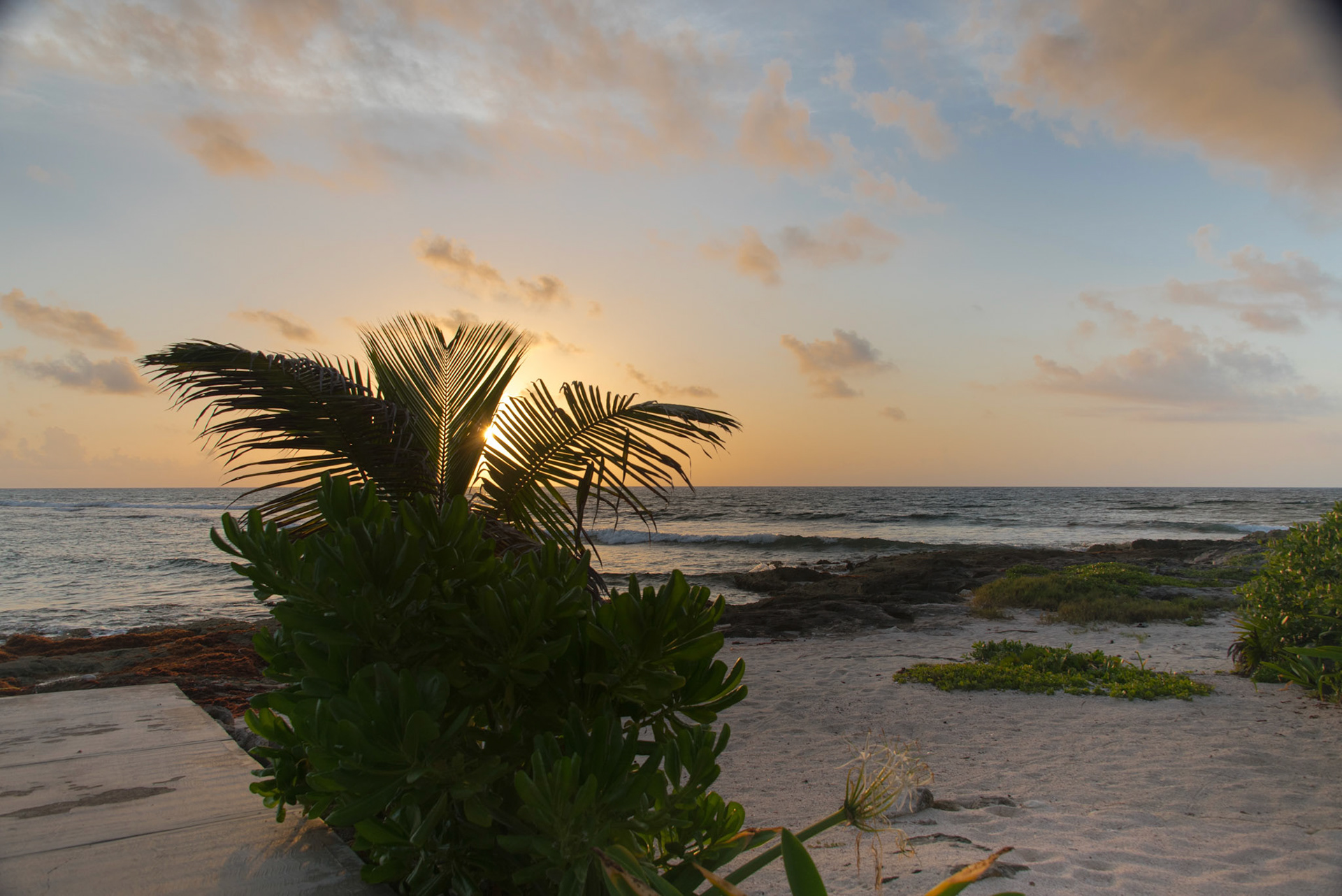 Sunrise