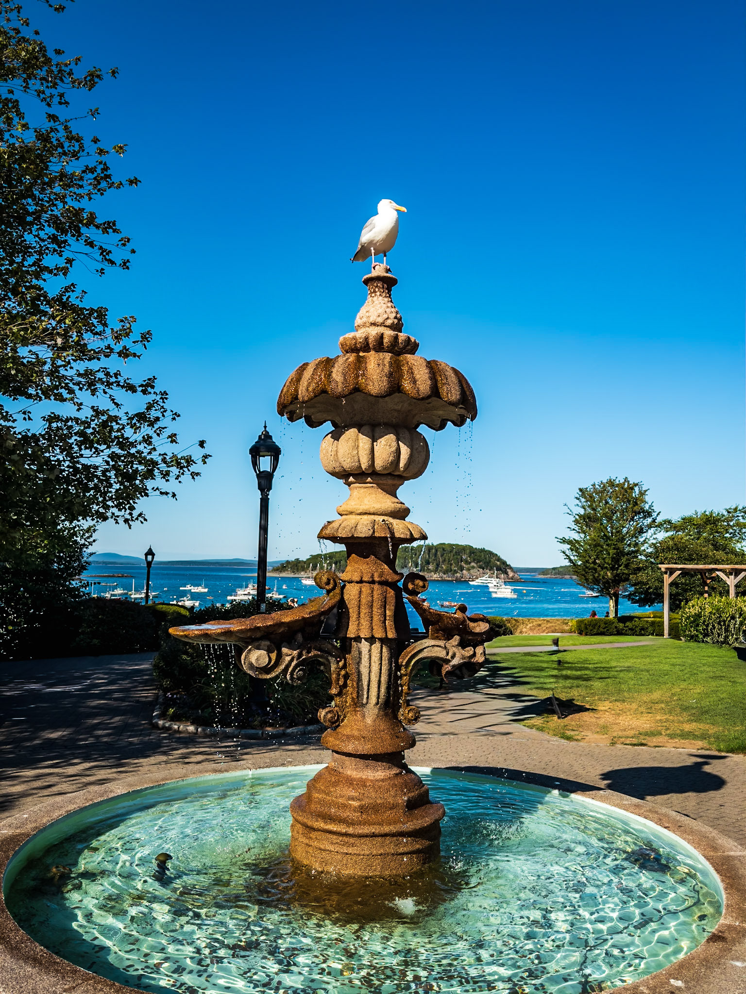 Bar harbor Maine