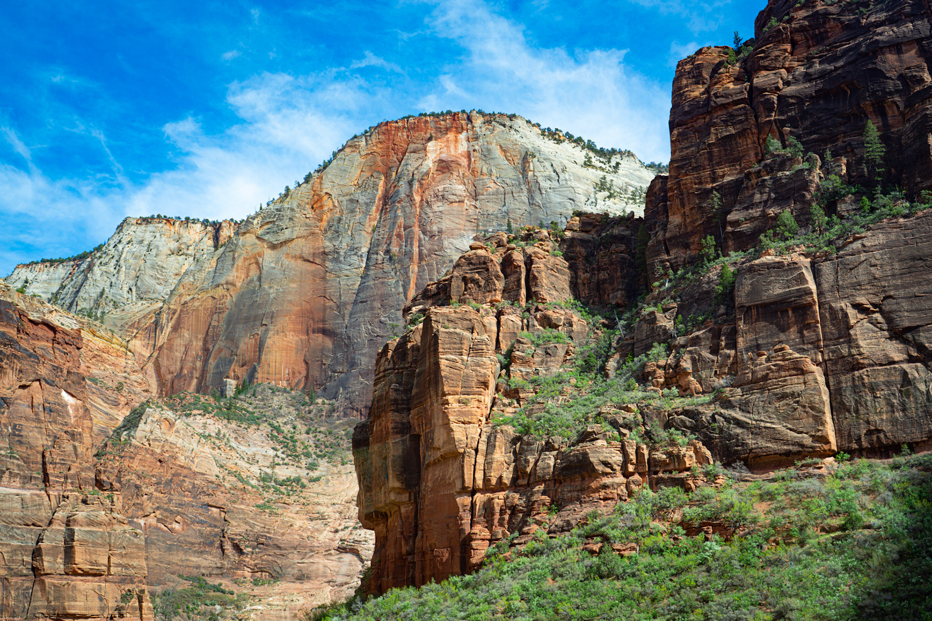 Zion National Park Utah